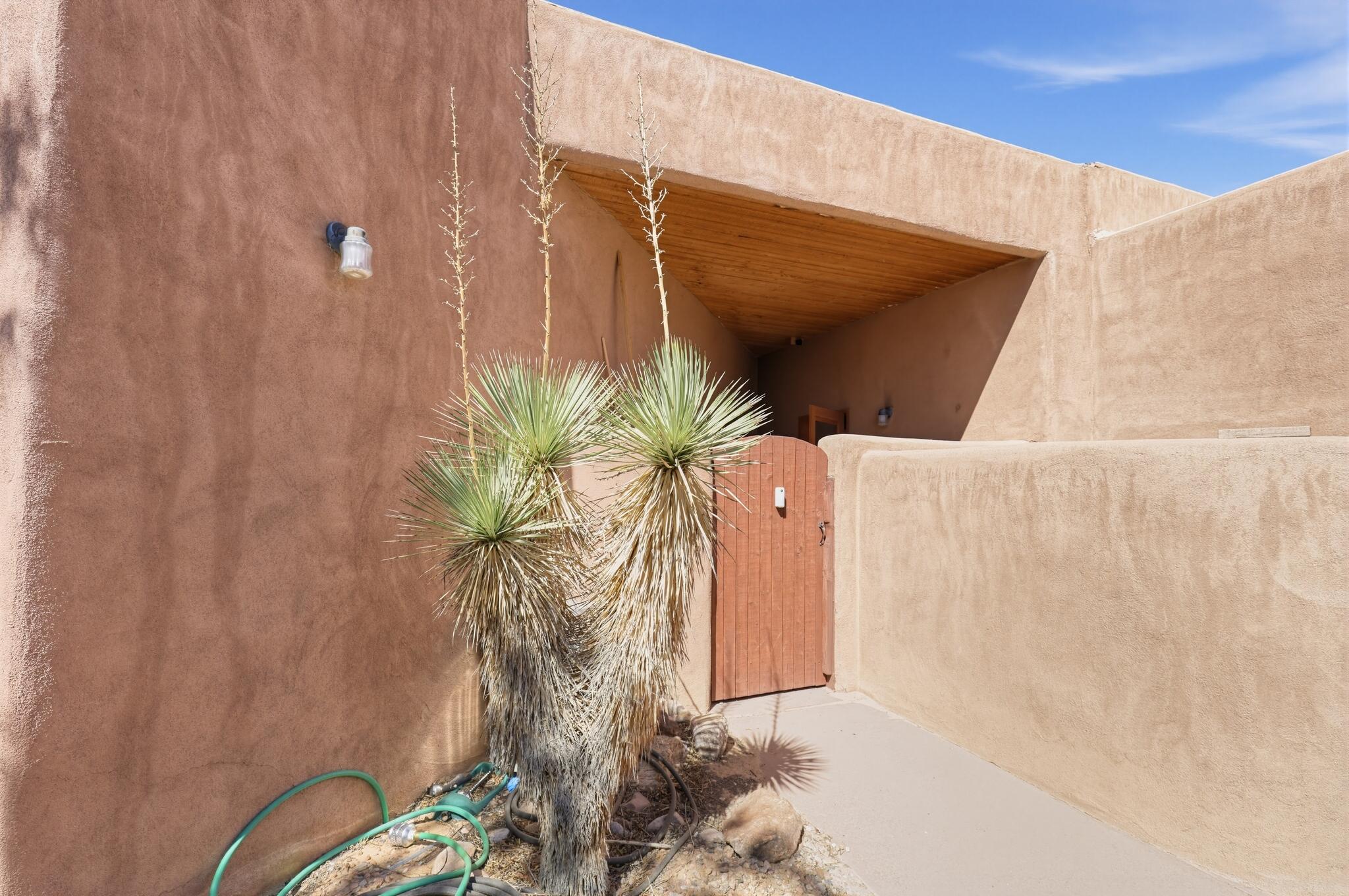 Enclosed stucco entry courtyard with a wooden gate, covered entrance, and yucca plants.