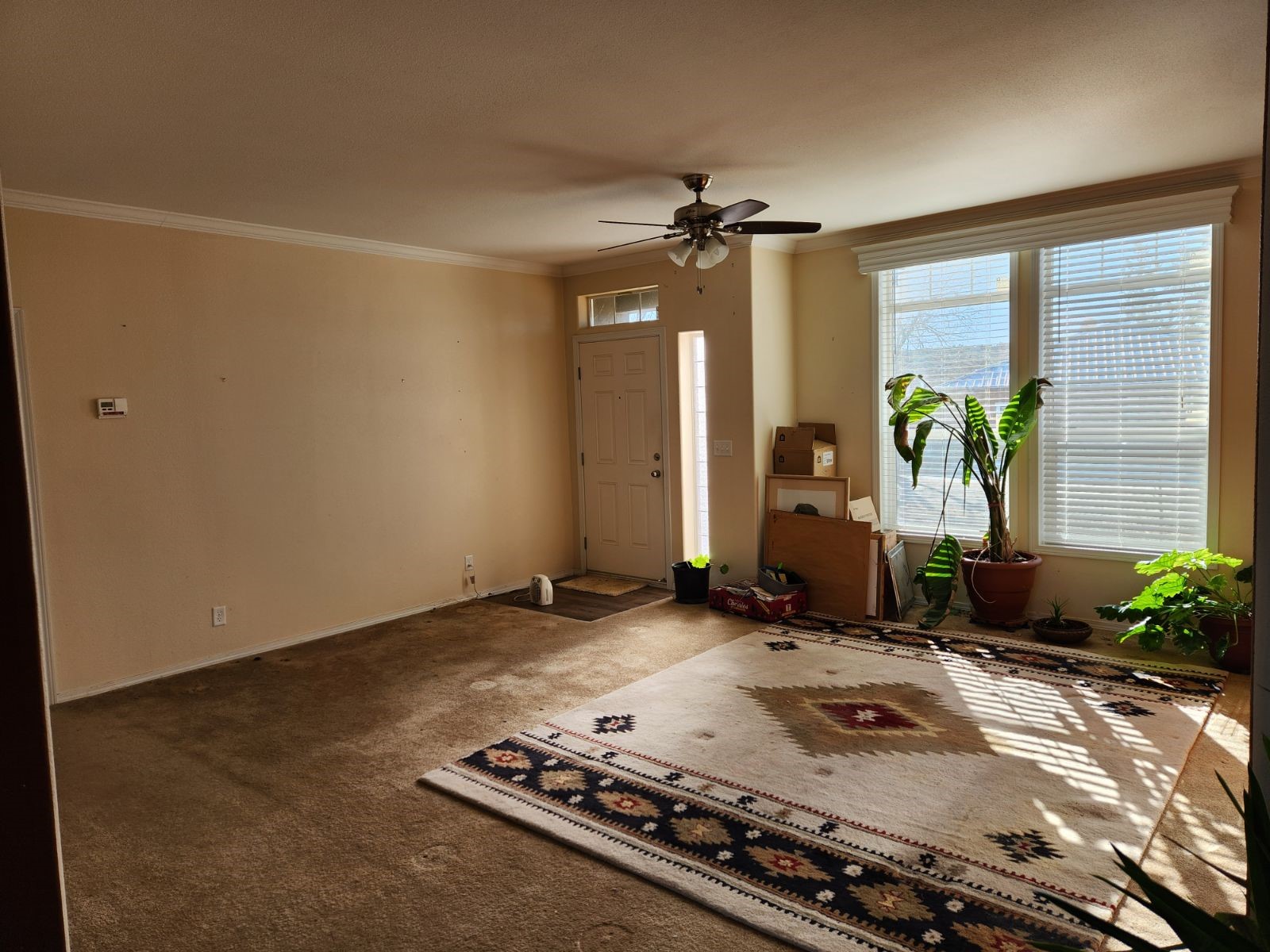 6 County Road 1703