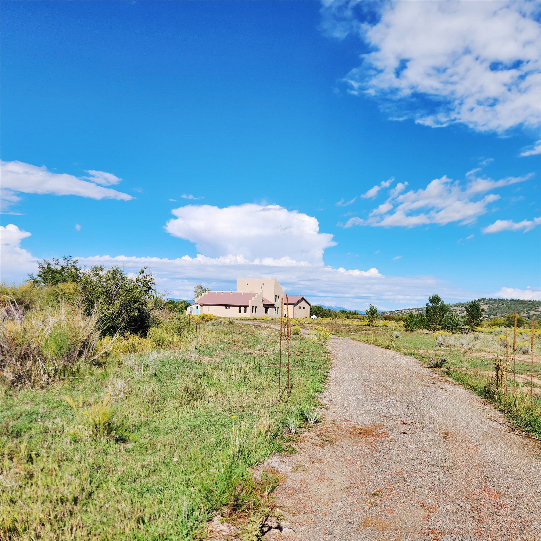317 county road 328
