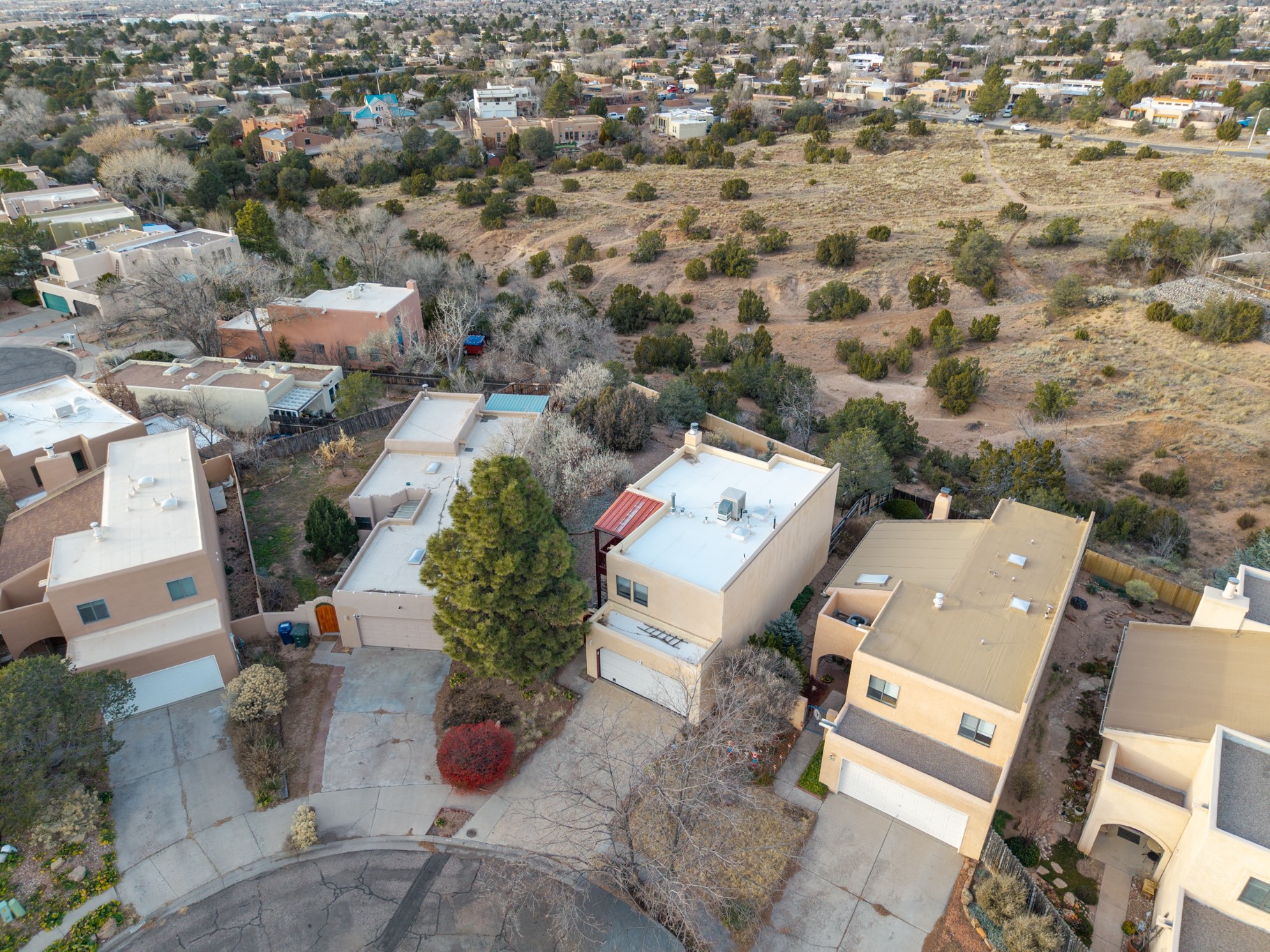 2978 Viaje Pavo Real