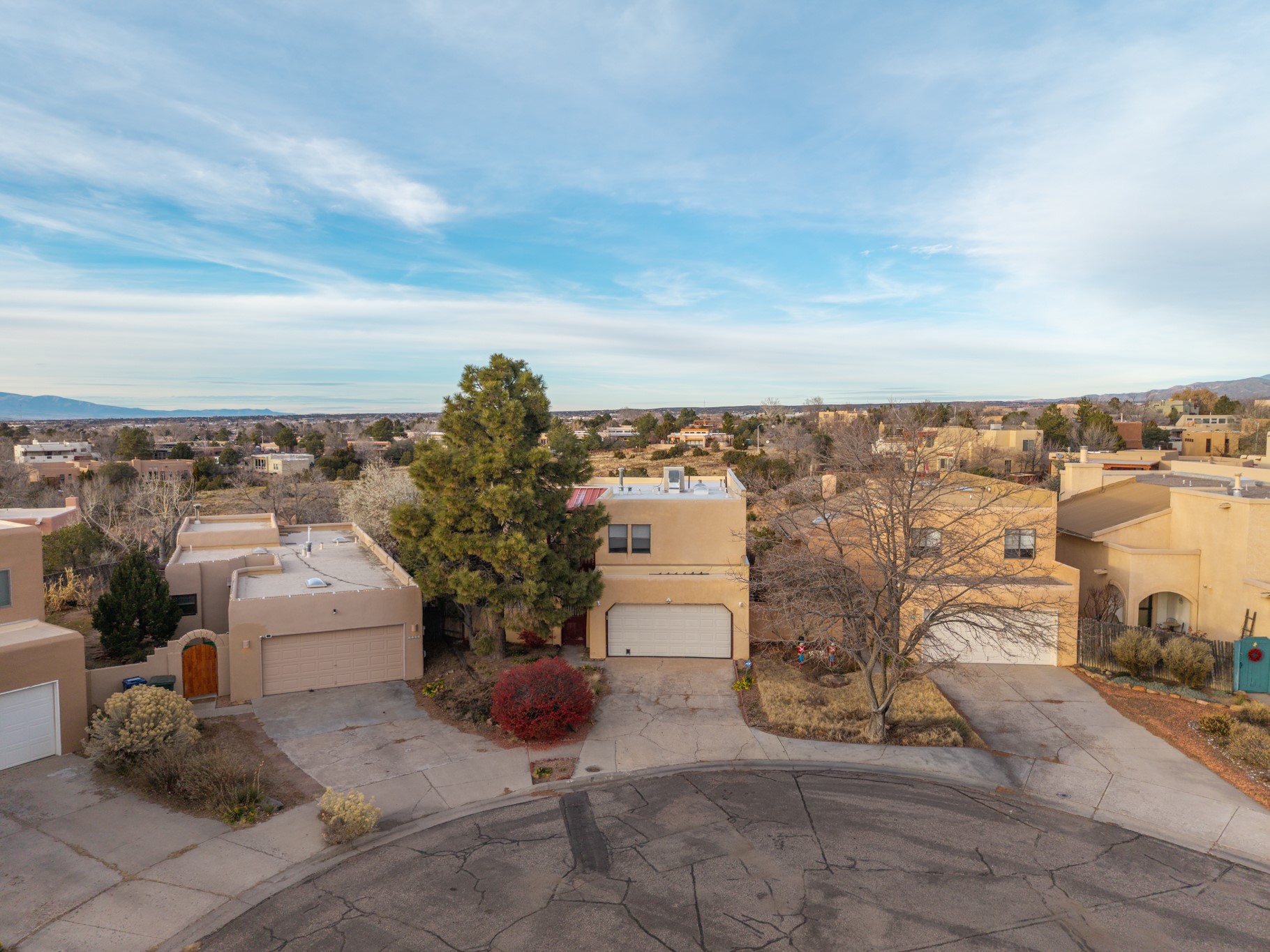 2978 Viaje Pavo Real