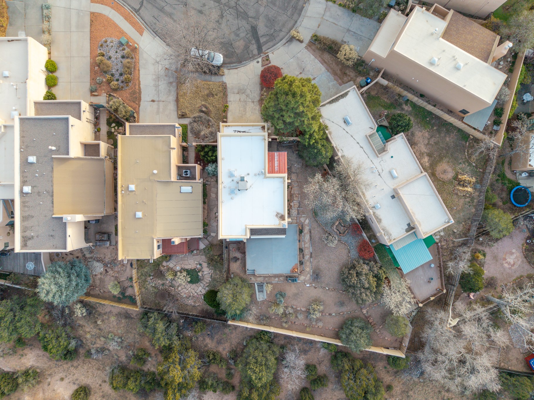 2978 Viaje Pavo Real