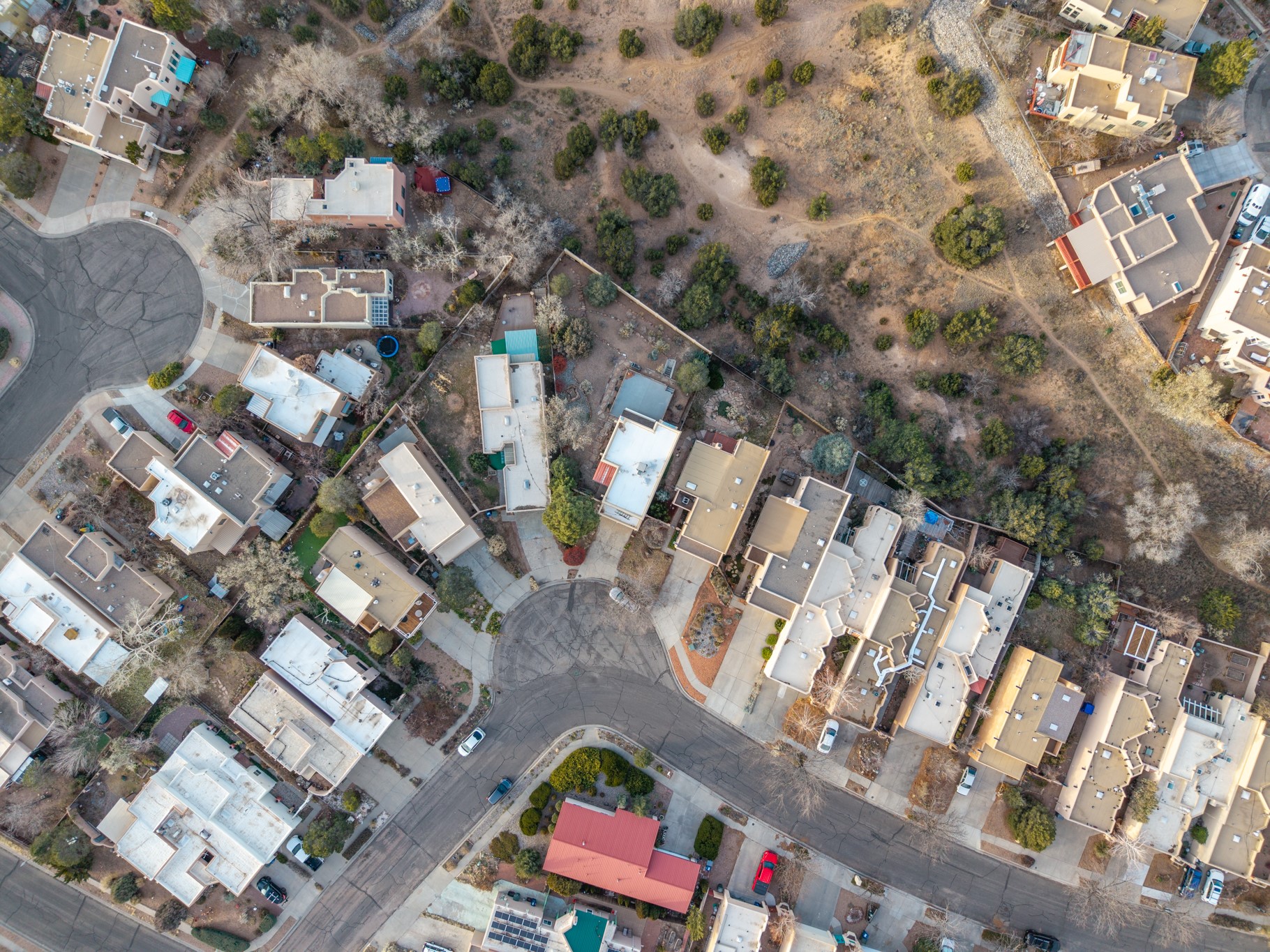 2978 Viaje Pavo Real