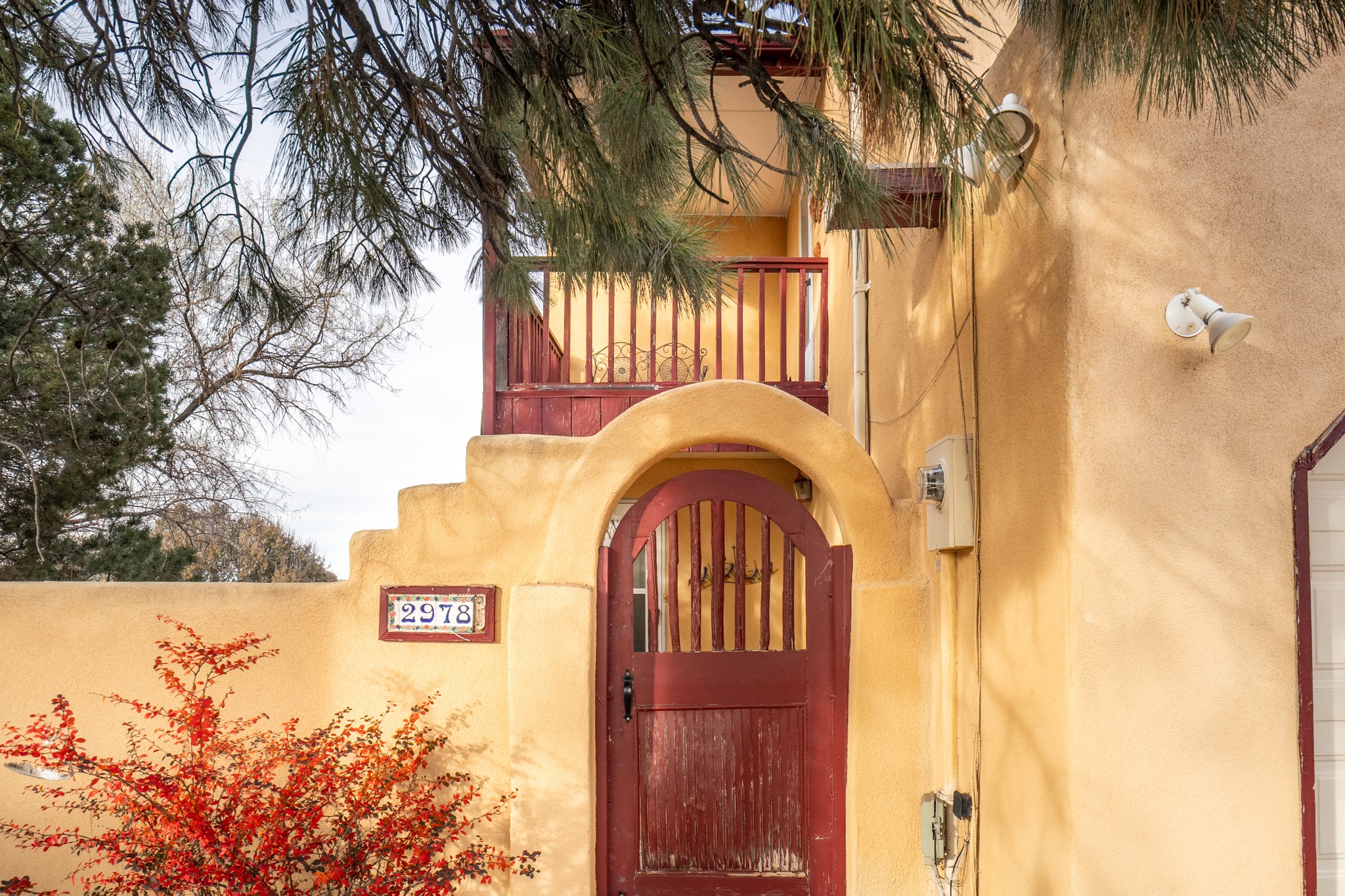 2978 Viaje Pavo Real