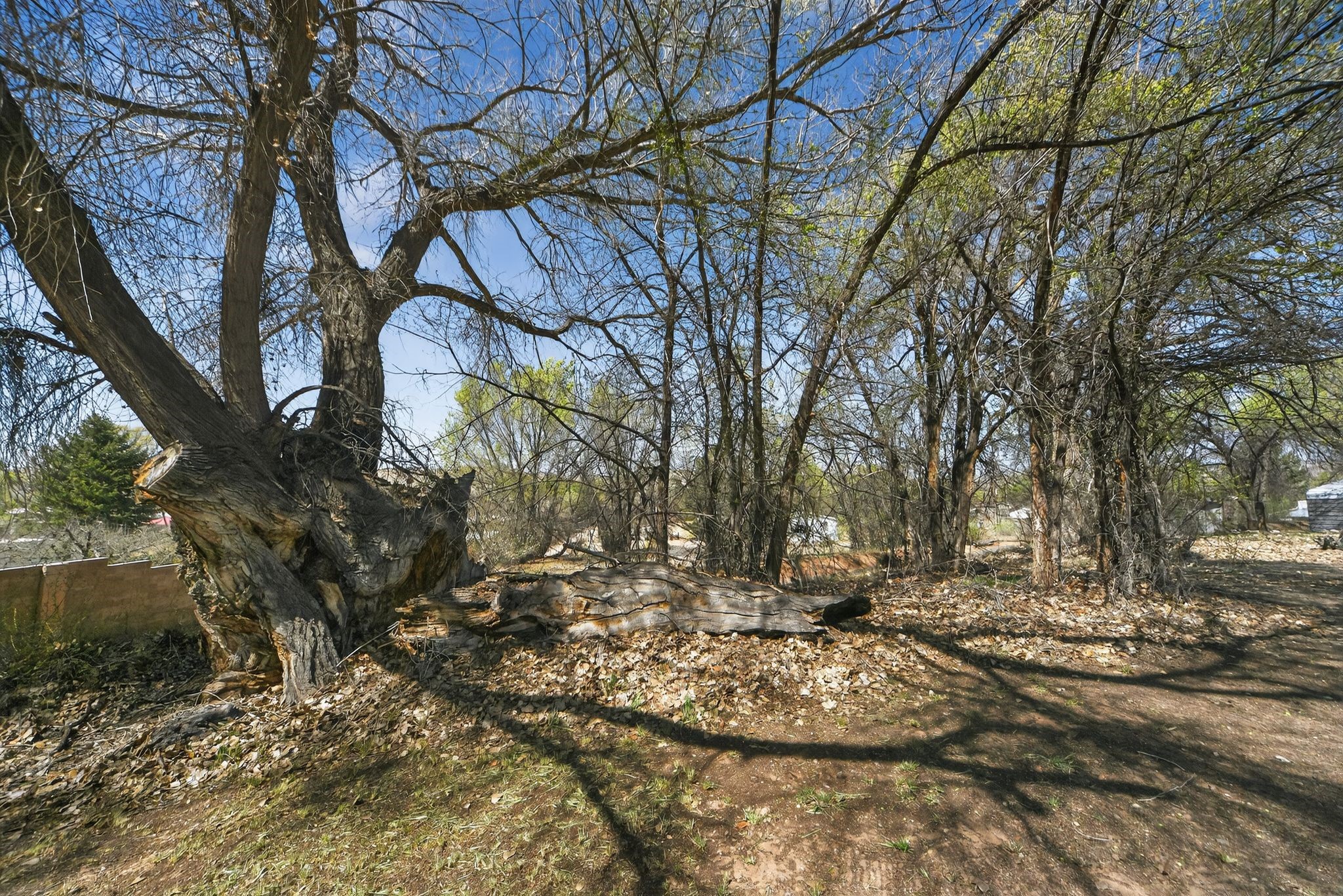 25 Camino De Casimiro
