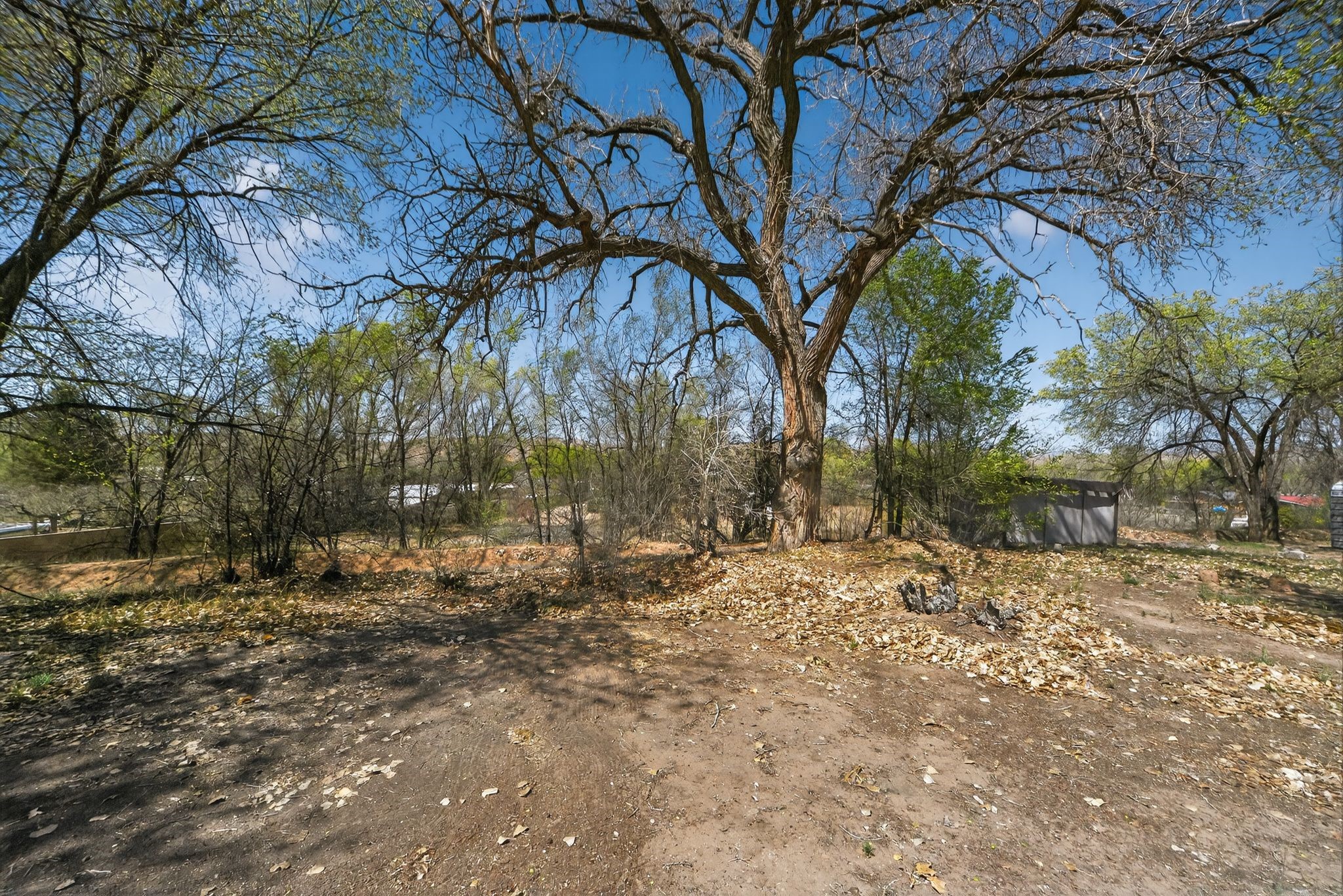 25 Camino De Casimiro