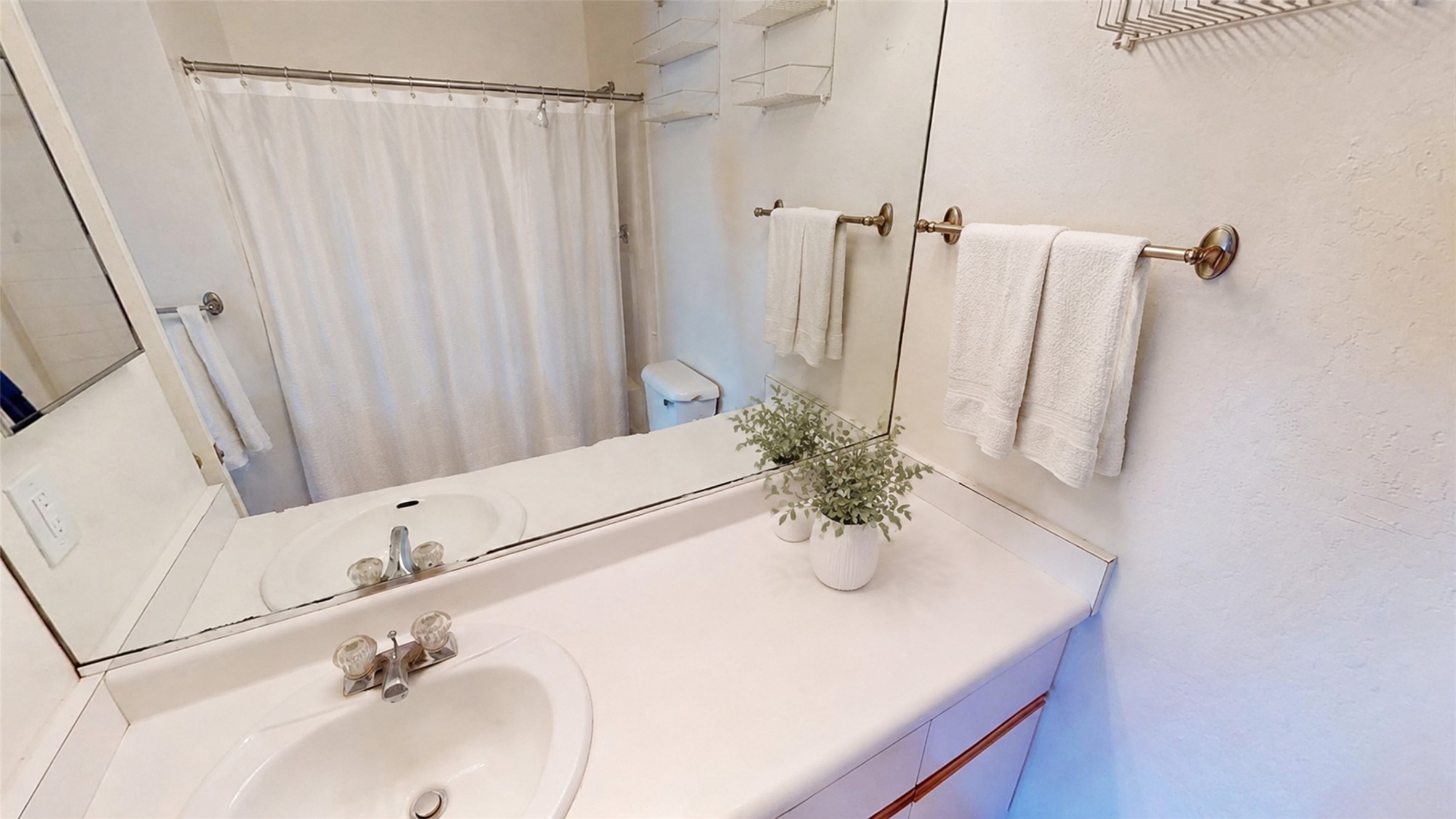 Bathroom vanity with a large mirror, brass towel bars, and a potted plant on the counter.