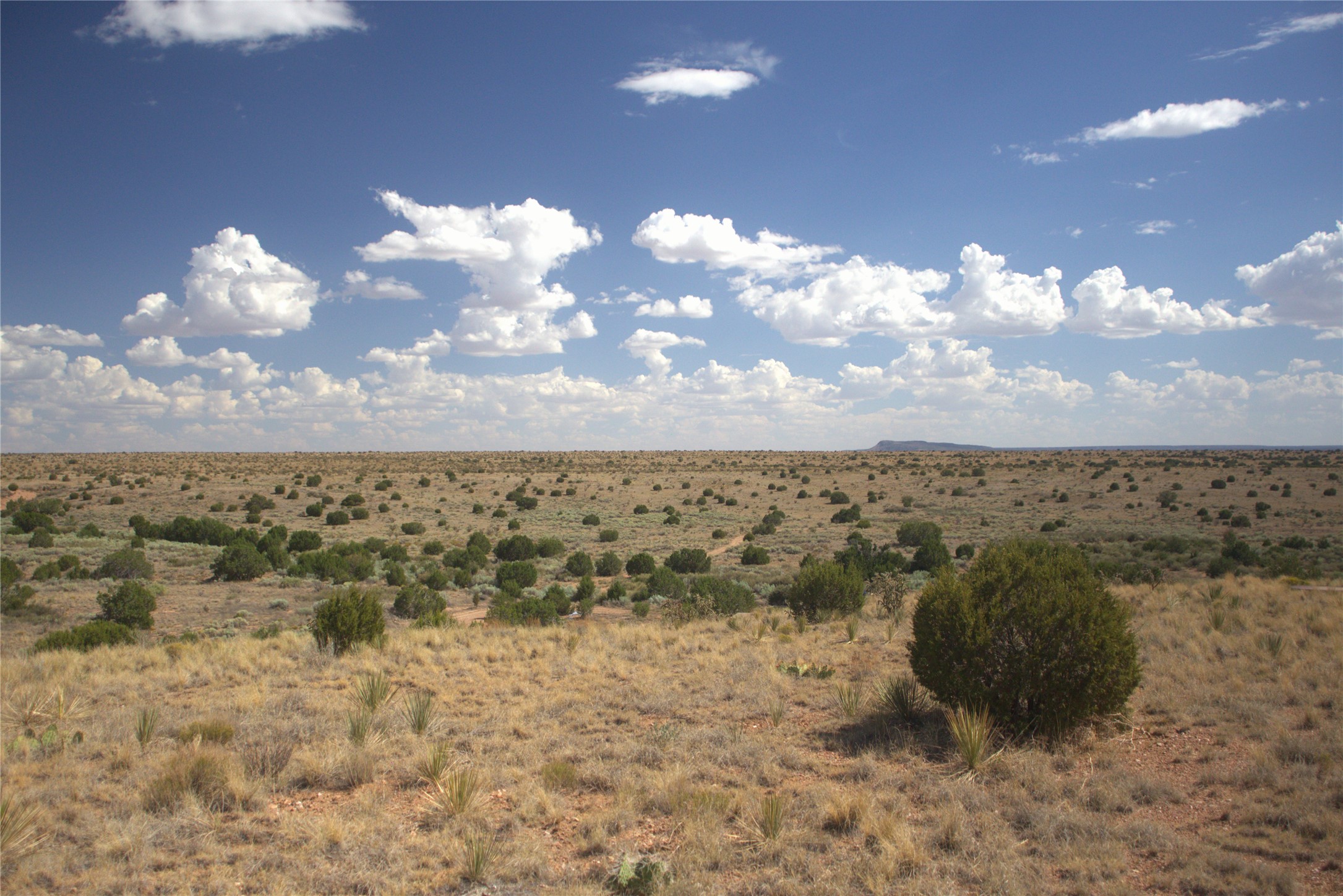 High-desert landscape with scattered shrubs and a distant mesa beneath a cloud-filled blue sky.