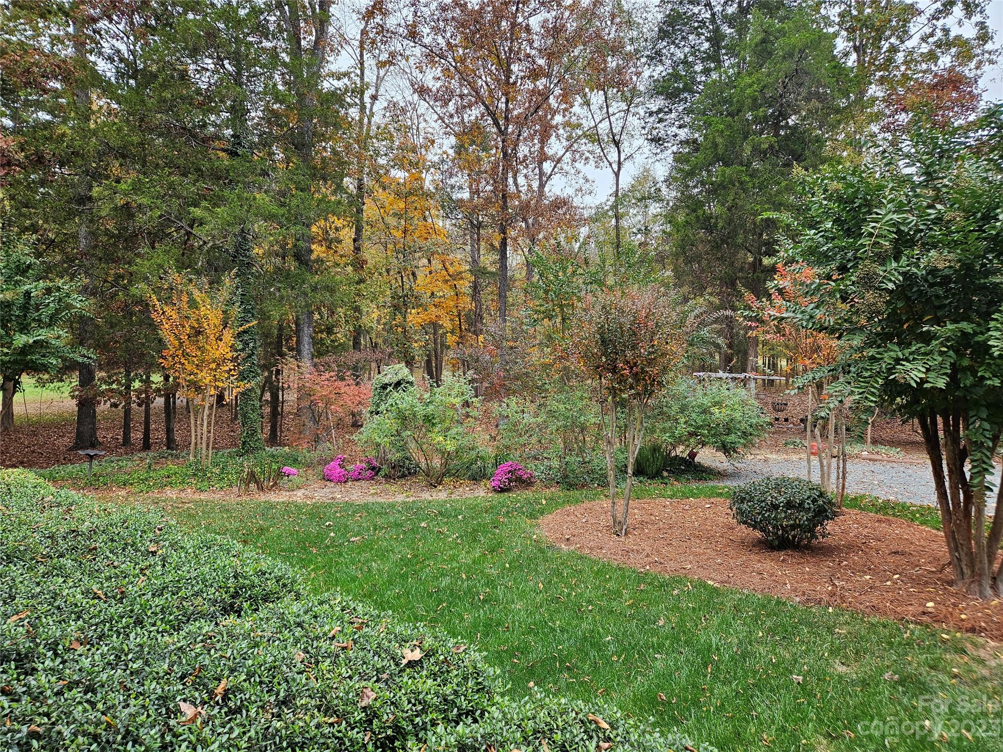 10055 Jim Sossoman Road