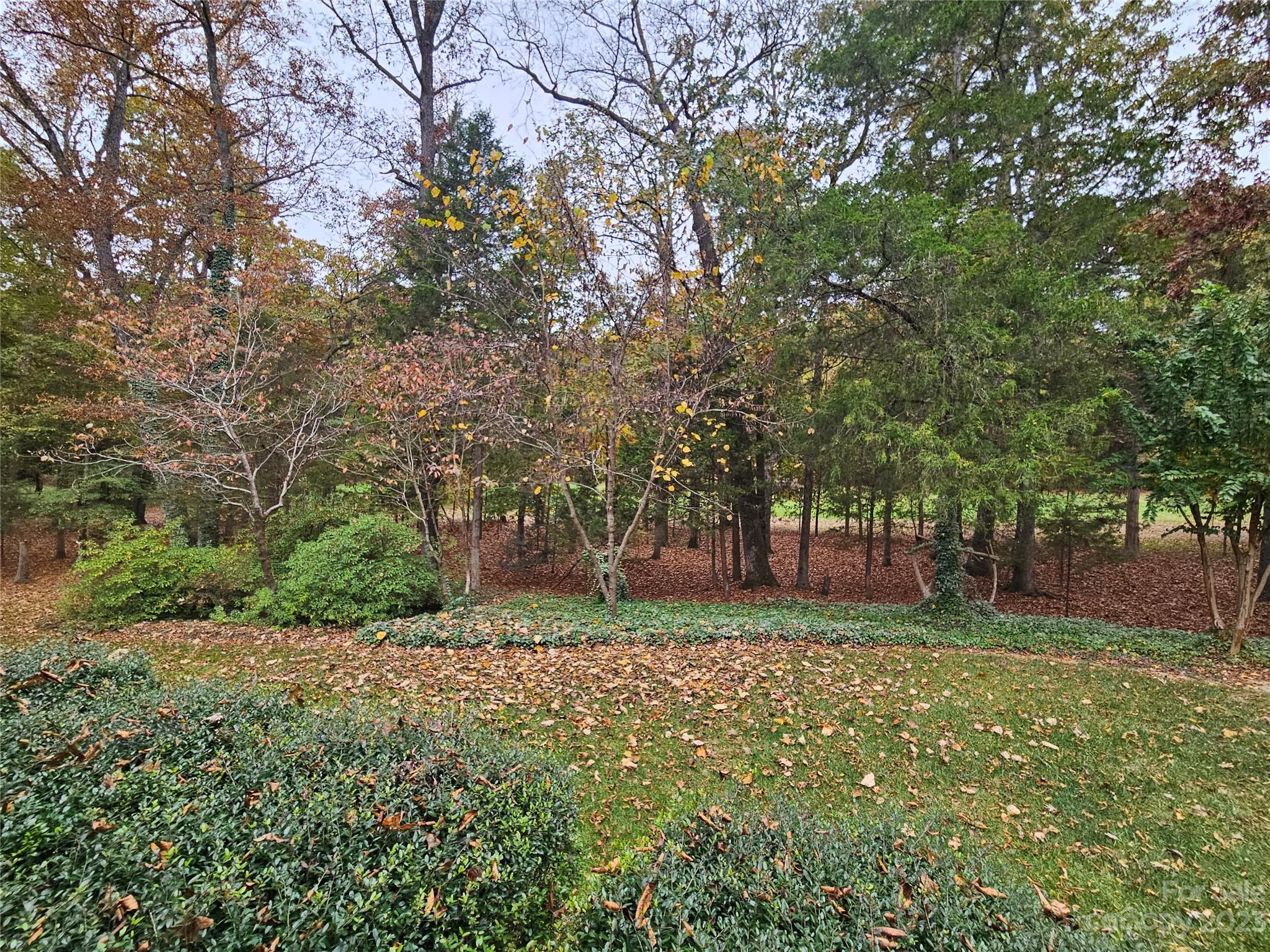 10055 Jim Sossoman Road