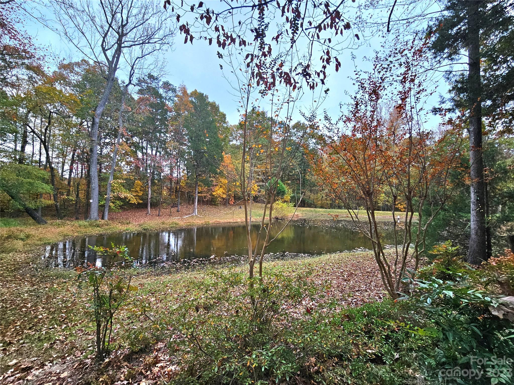 10055 Jim Sossoman Road