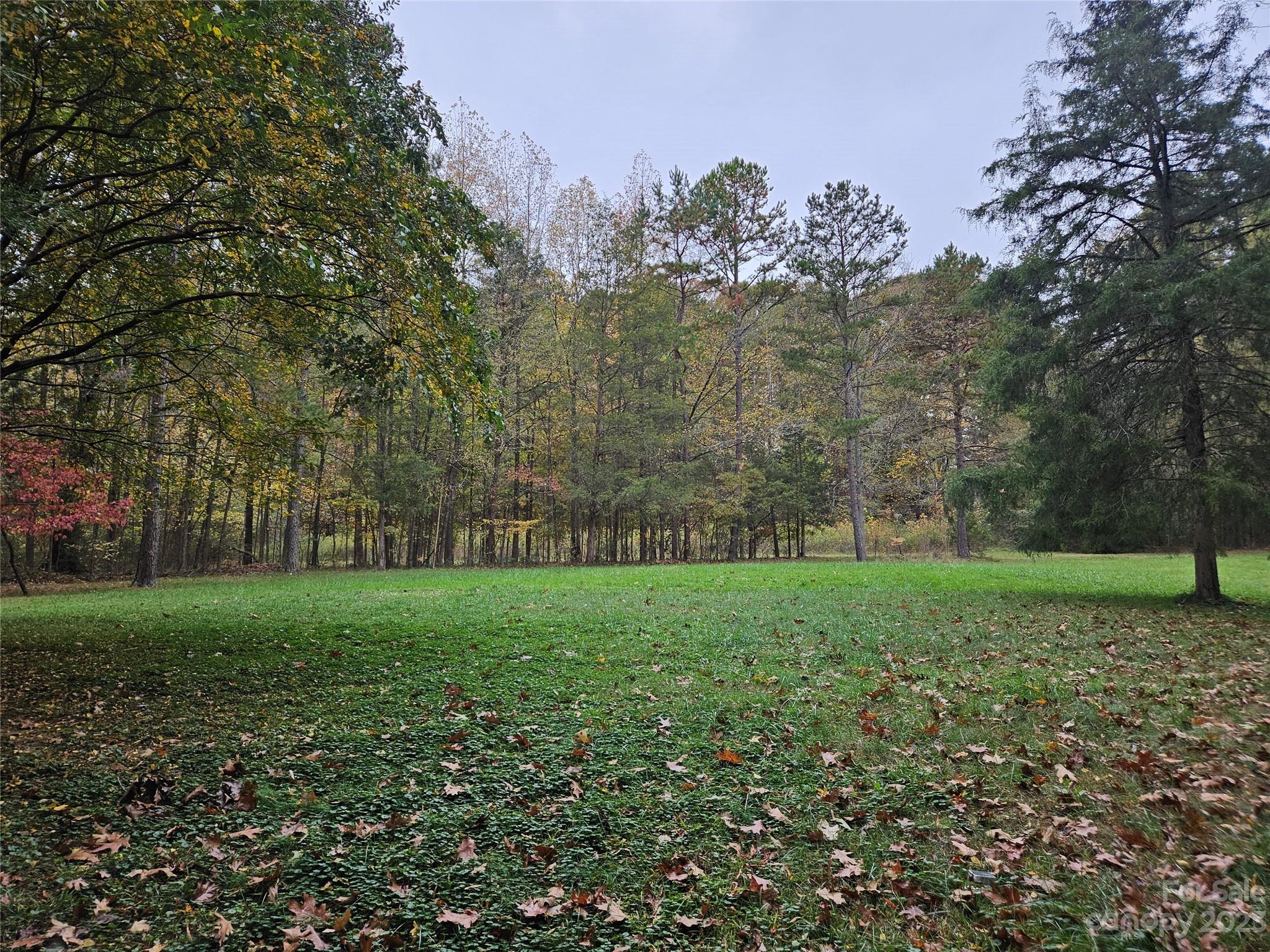 10055 Jim Sossoman Road