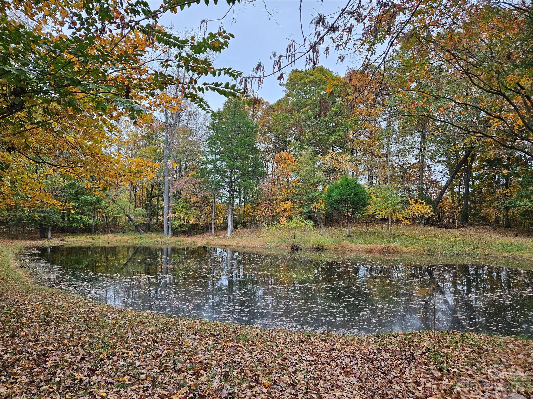 10055 Jim Sossoman Road