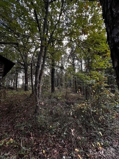 00 Marshville Olive Branch Road