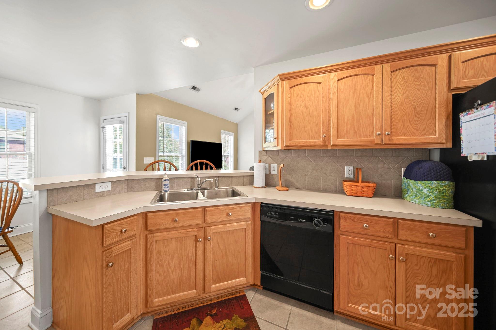 209 Lagoda Drive