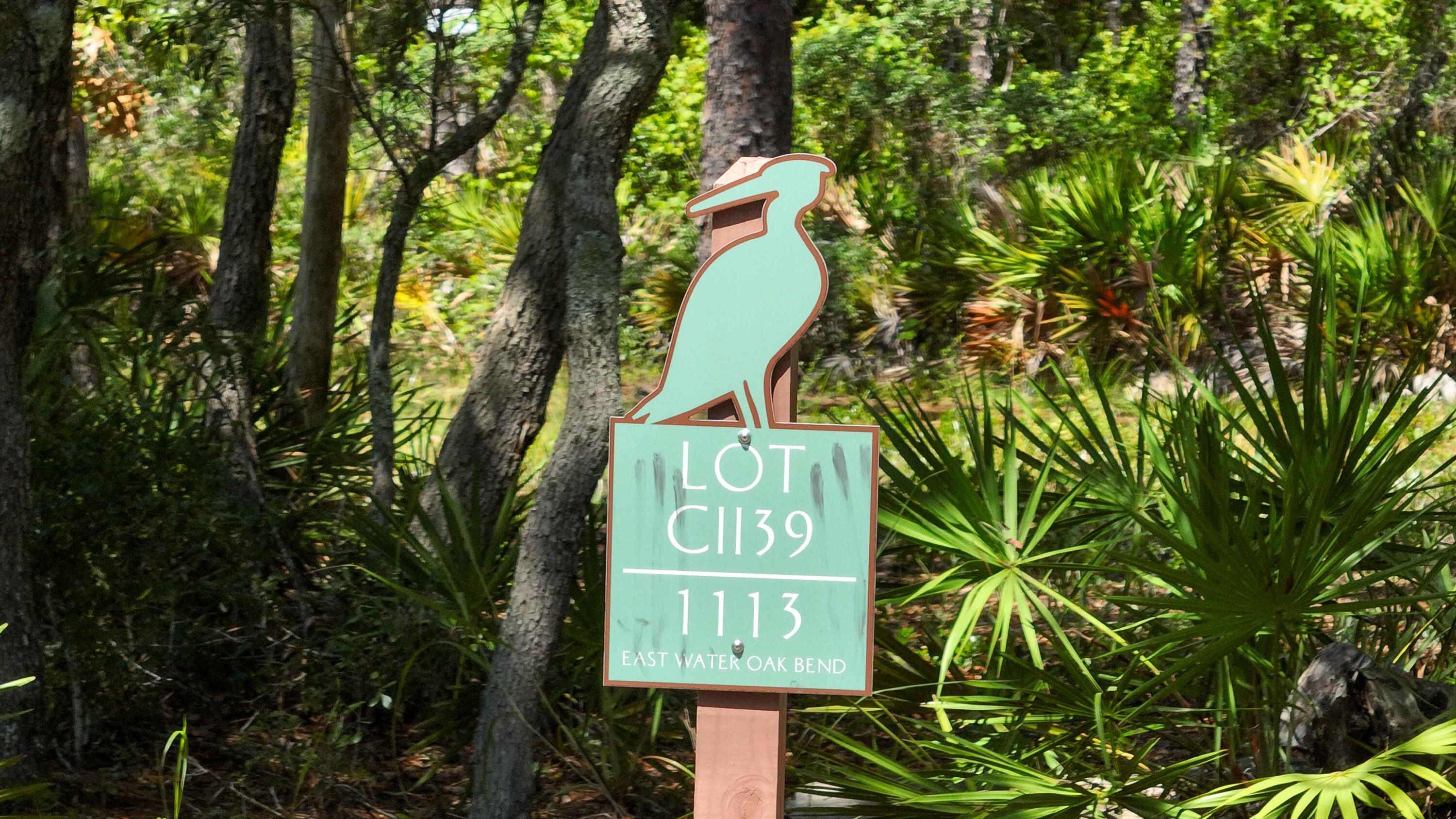 1113 E Water Oak