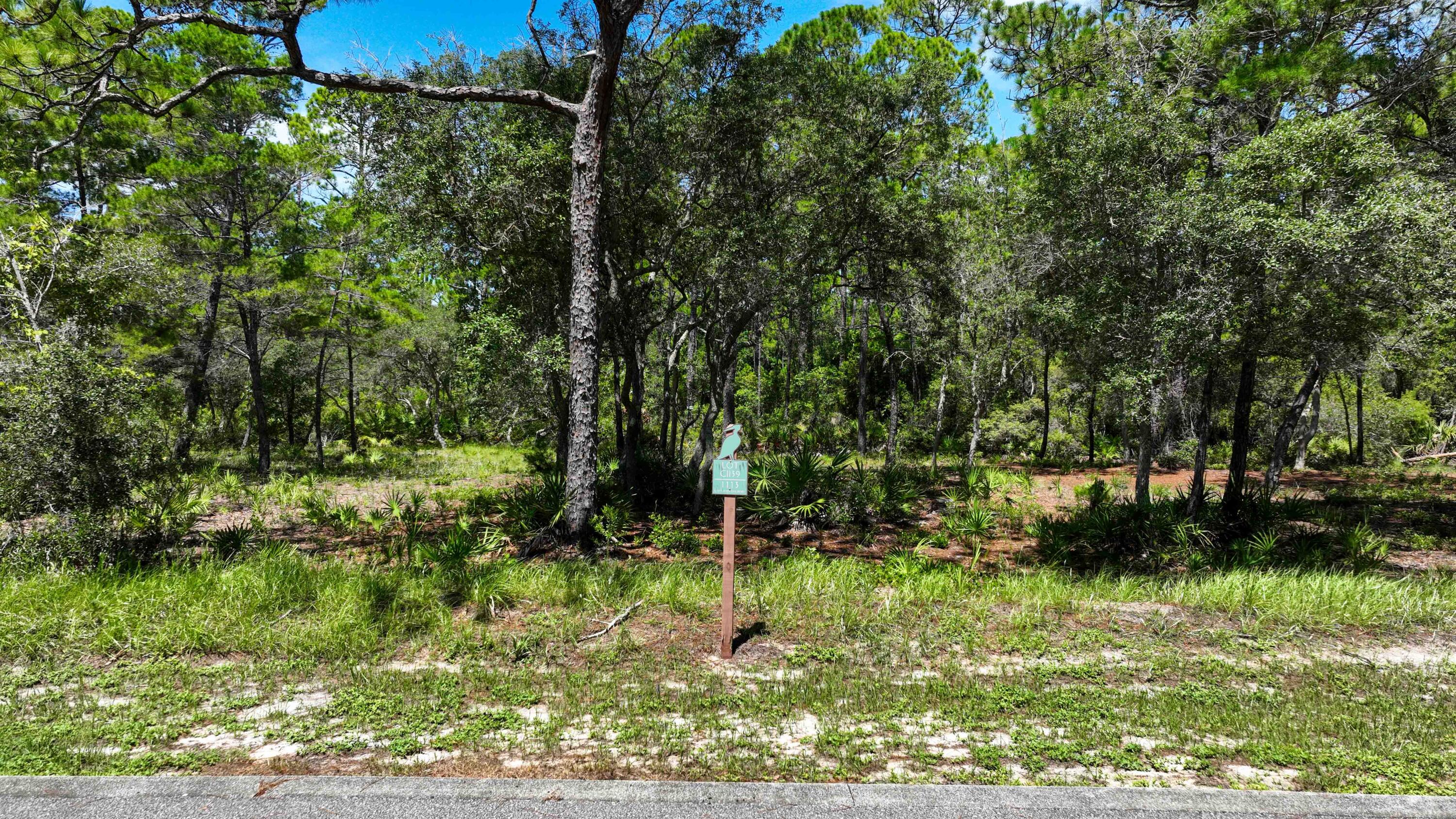 1113 E Water Oak