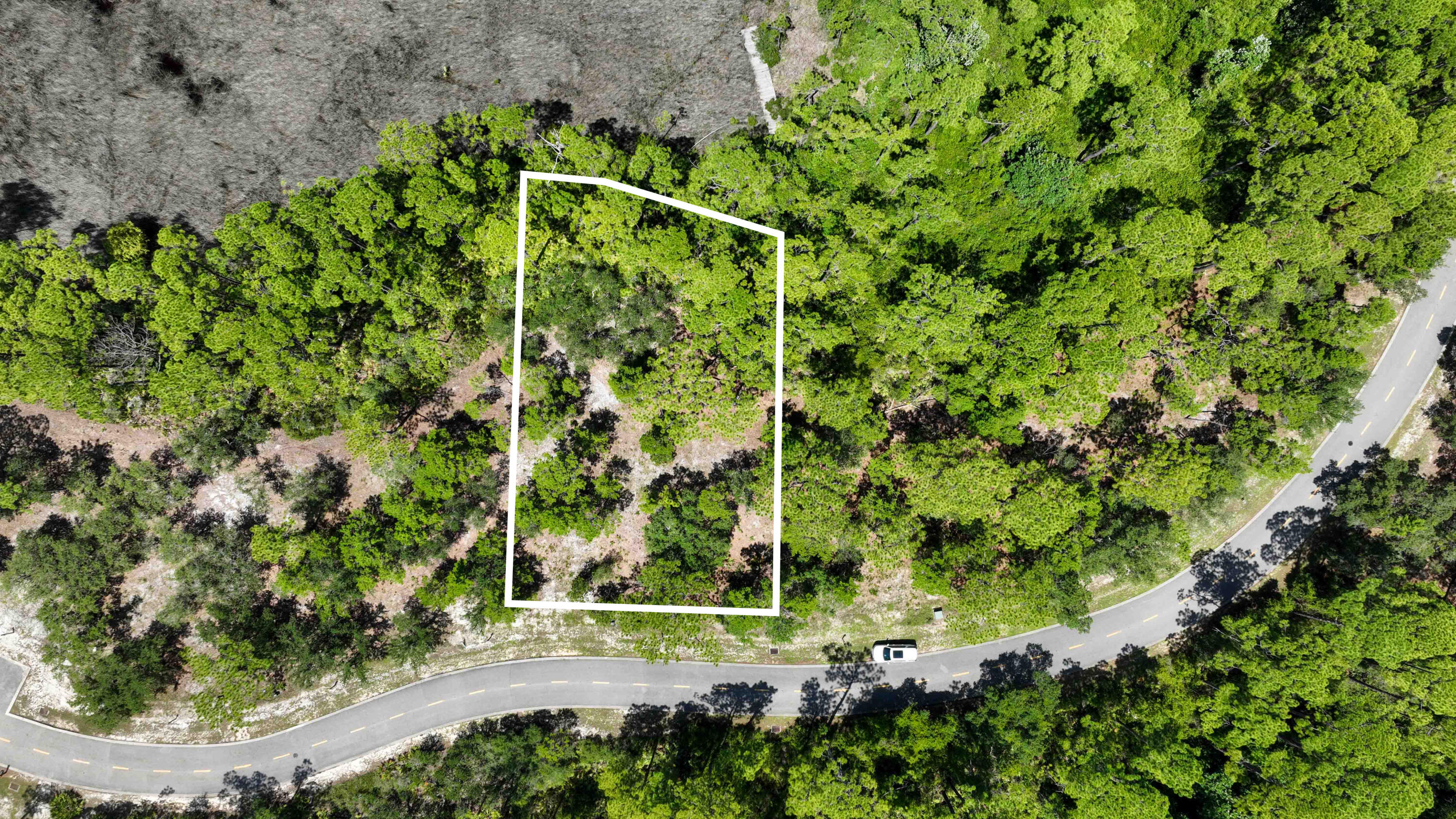 1113 E Water Oak