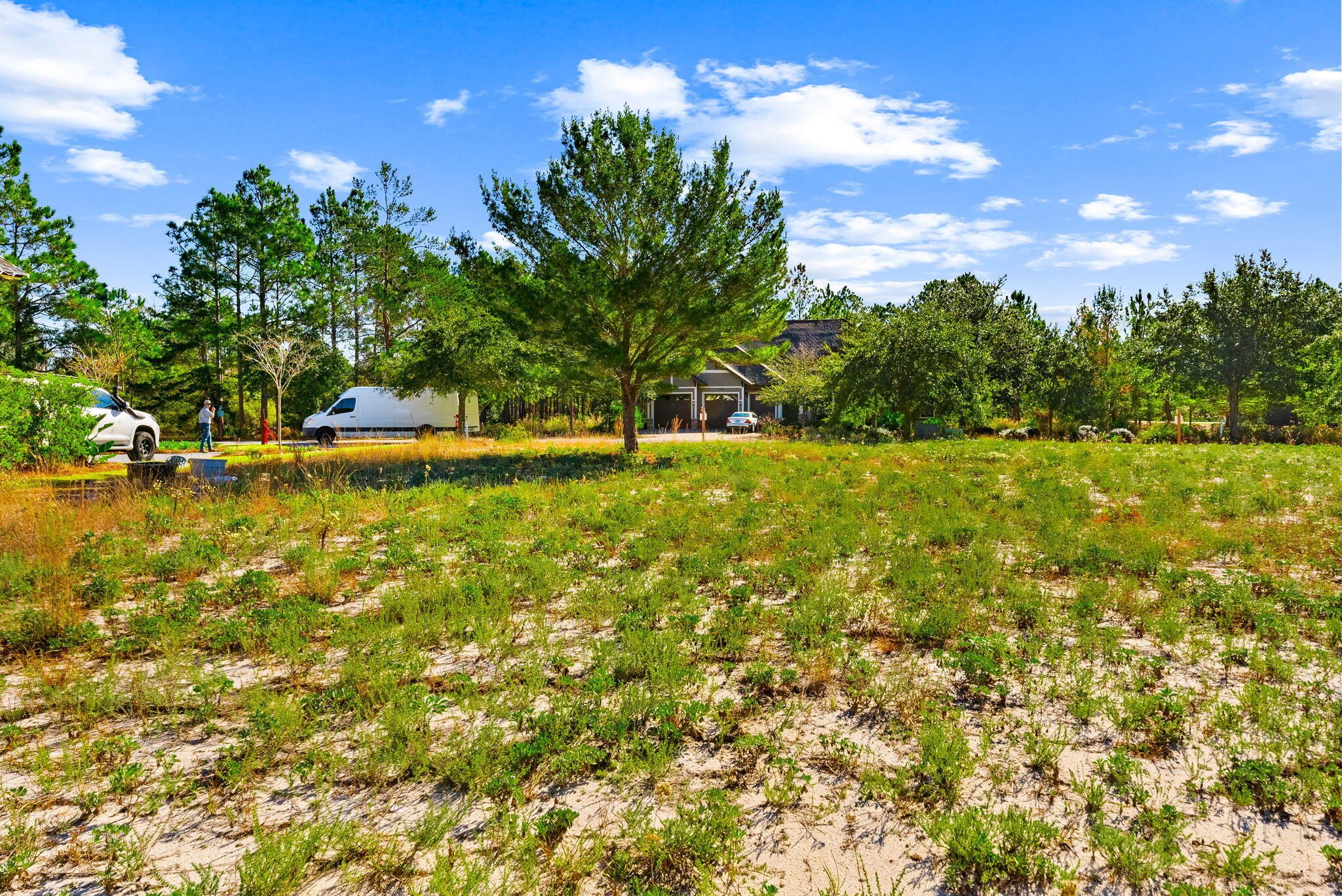1619 Meadow Lark Way