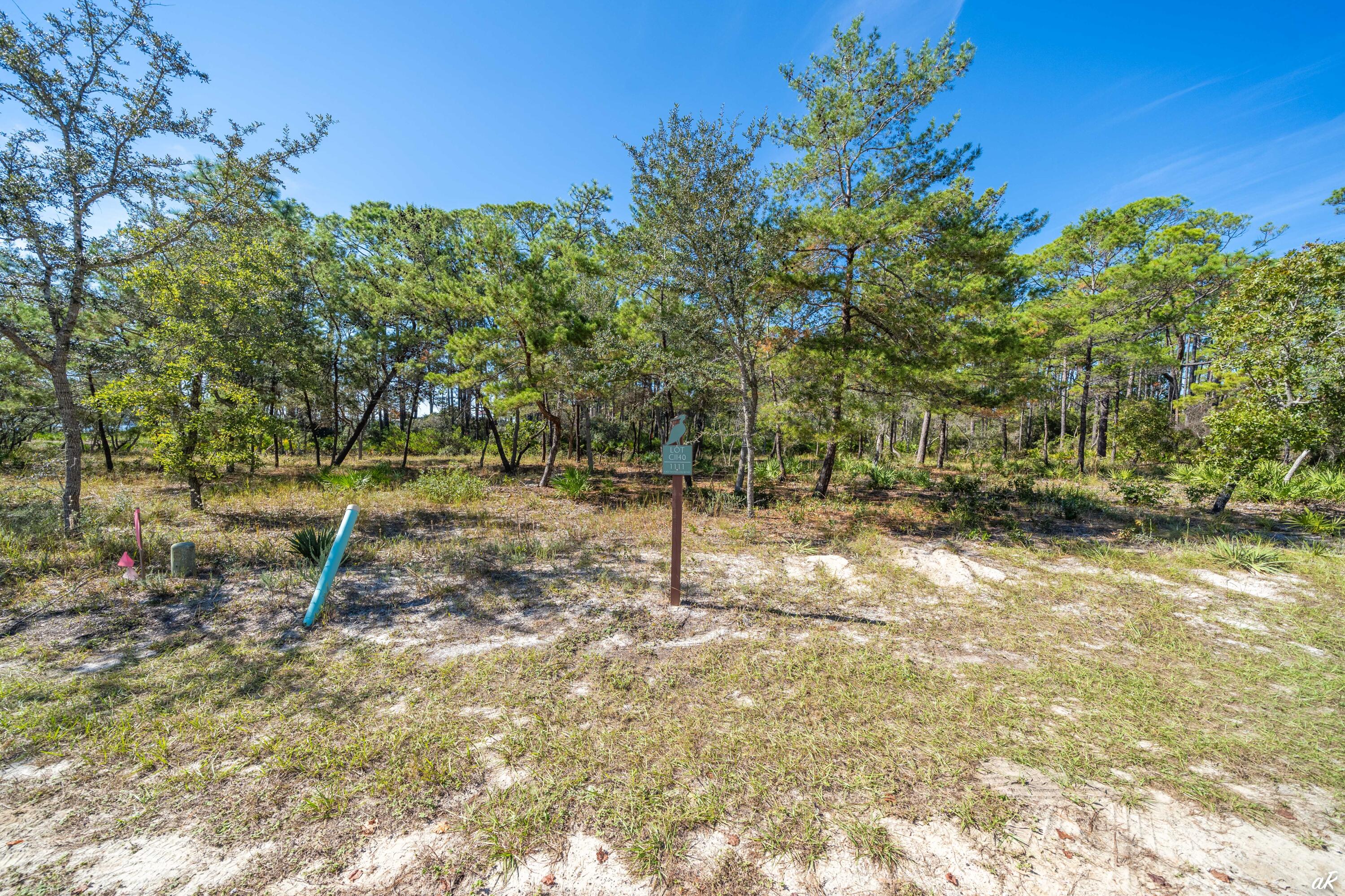 1111 E Water Oak