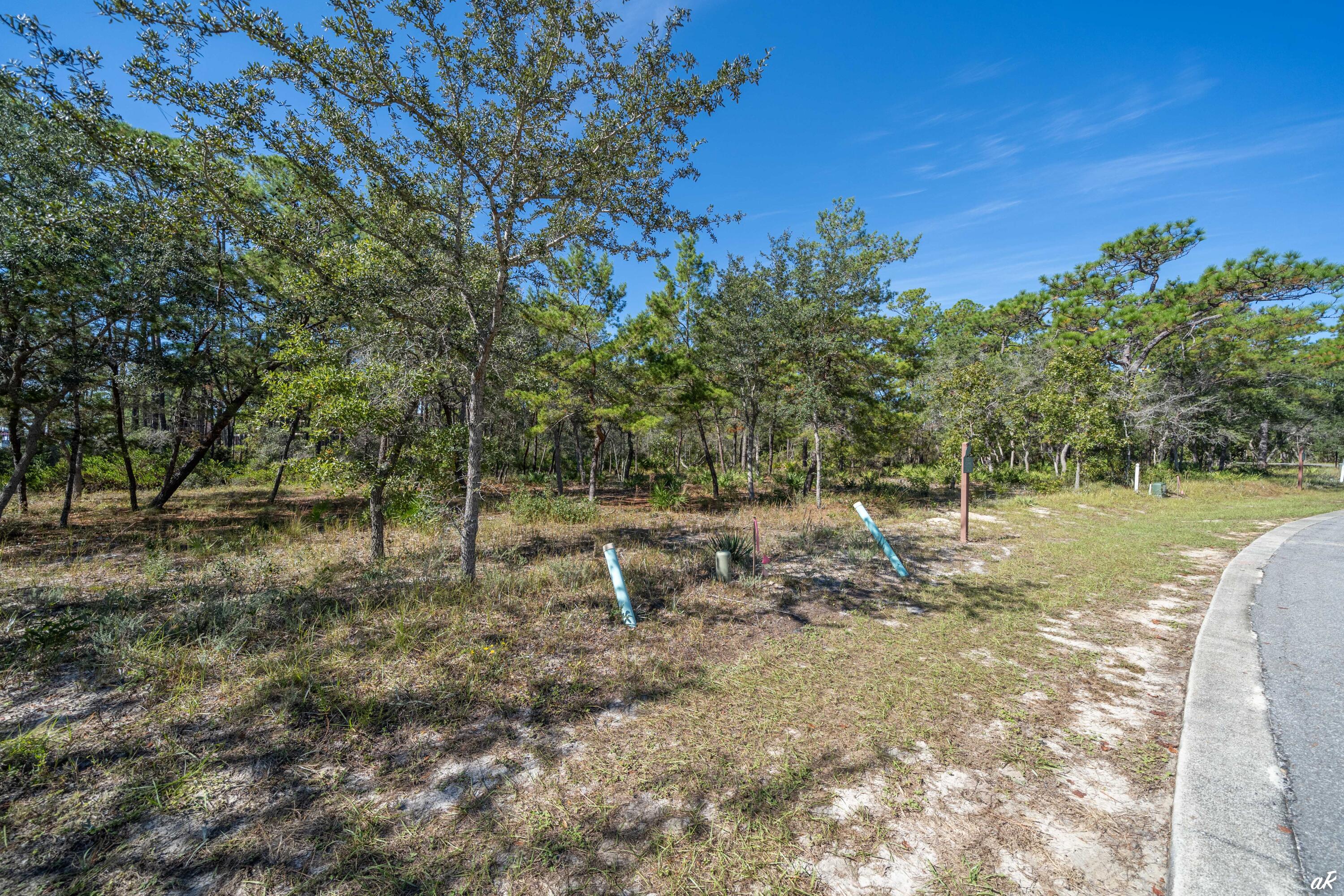 1111 E Water Oak