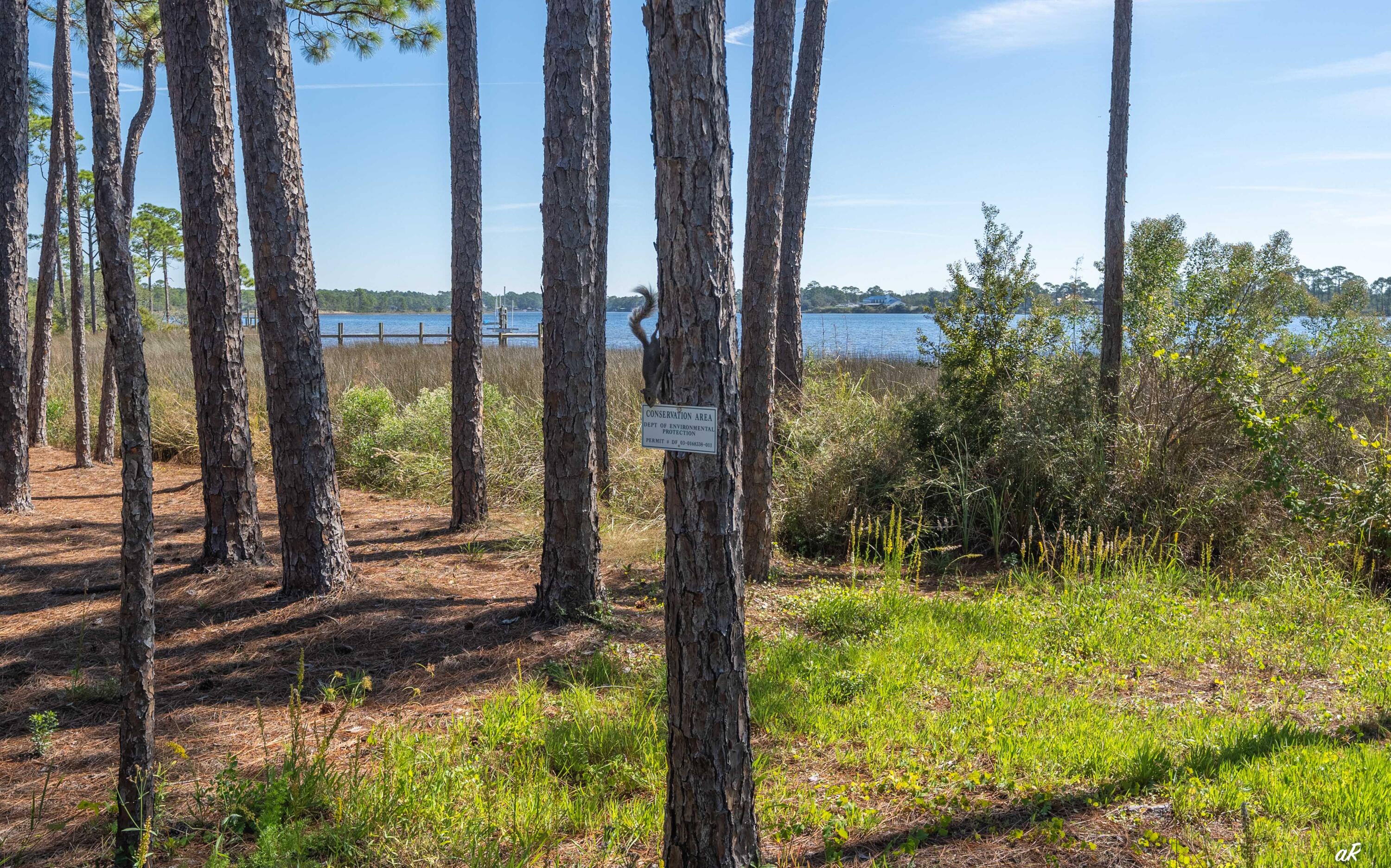 1111 E Water Oak