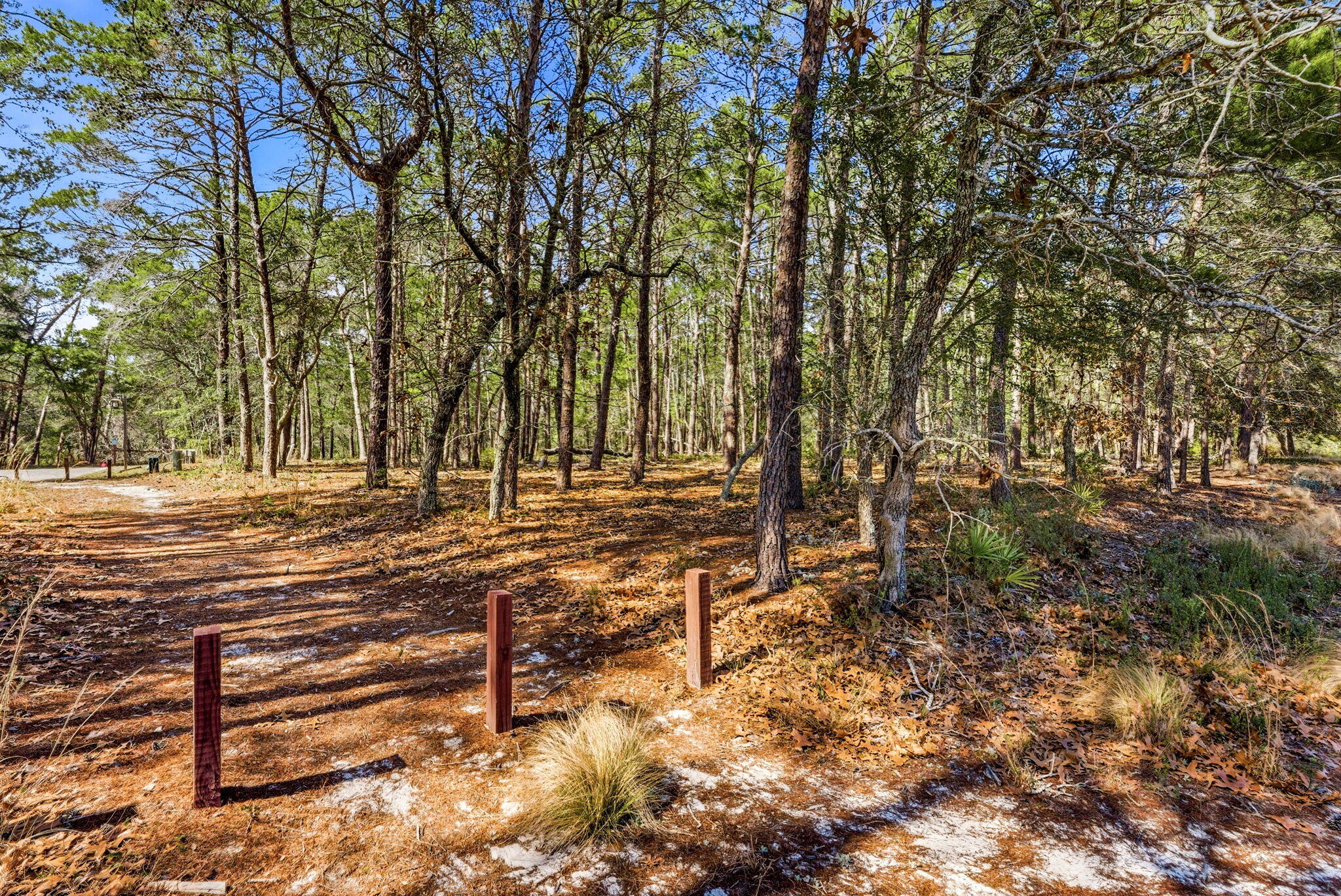 1620 Sharks Tooth Trail