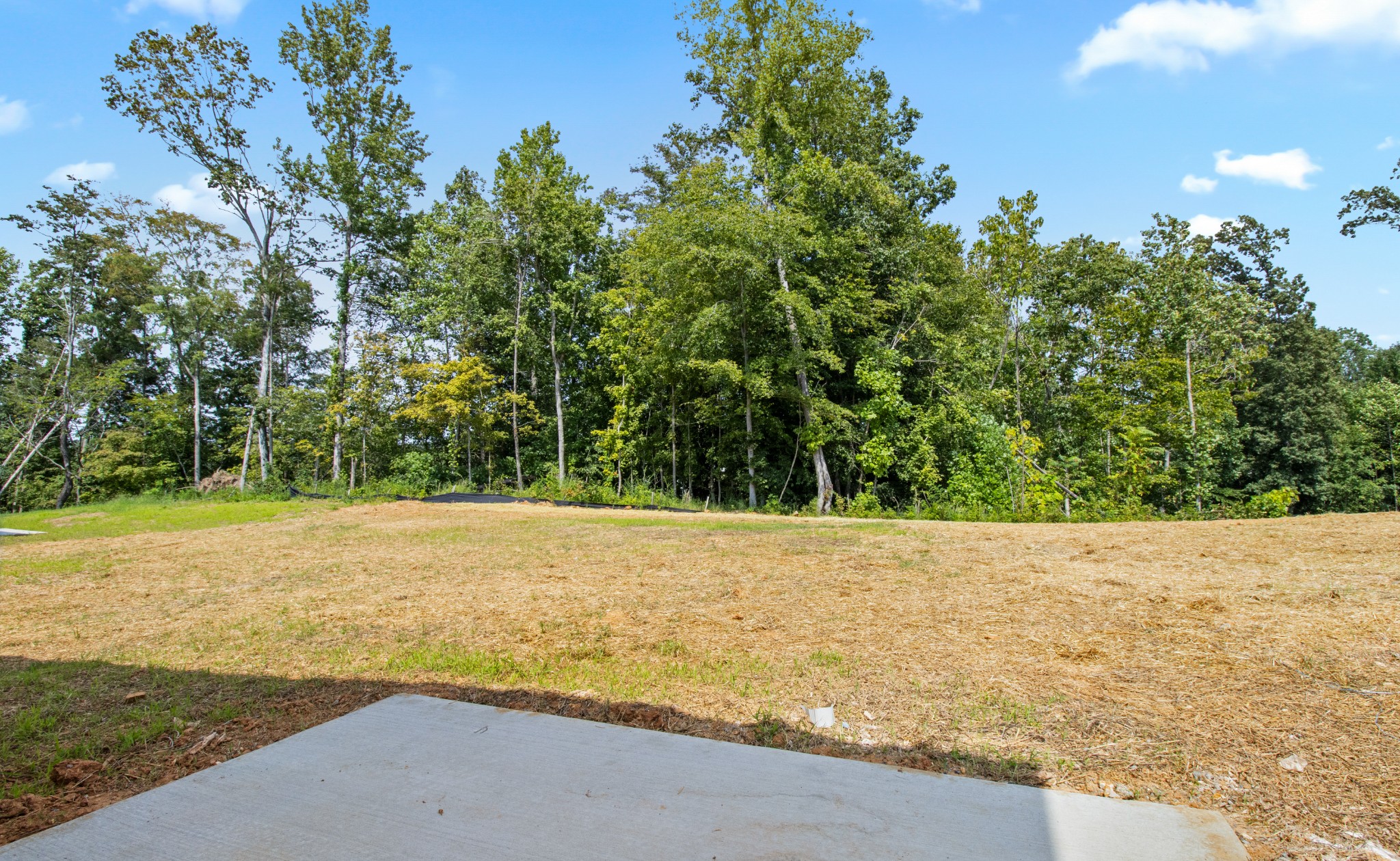 183 Woodland Station Dr