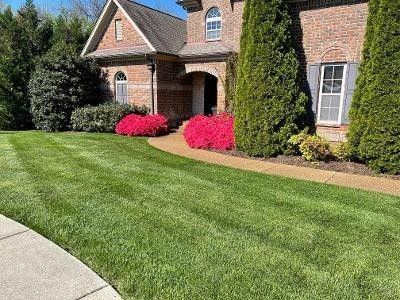 4003 Alice Springs Ct