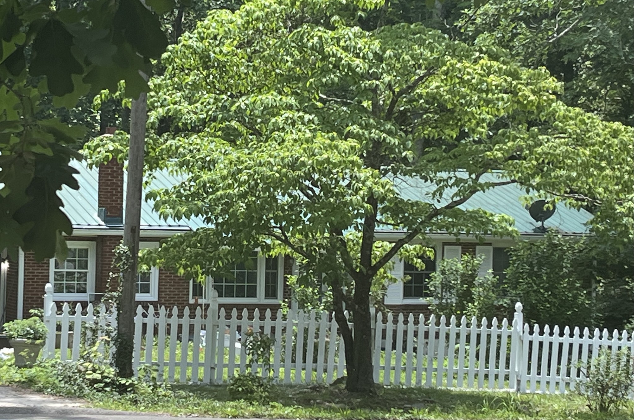 5849 Bending Chestnut Rd