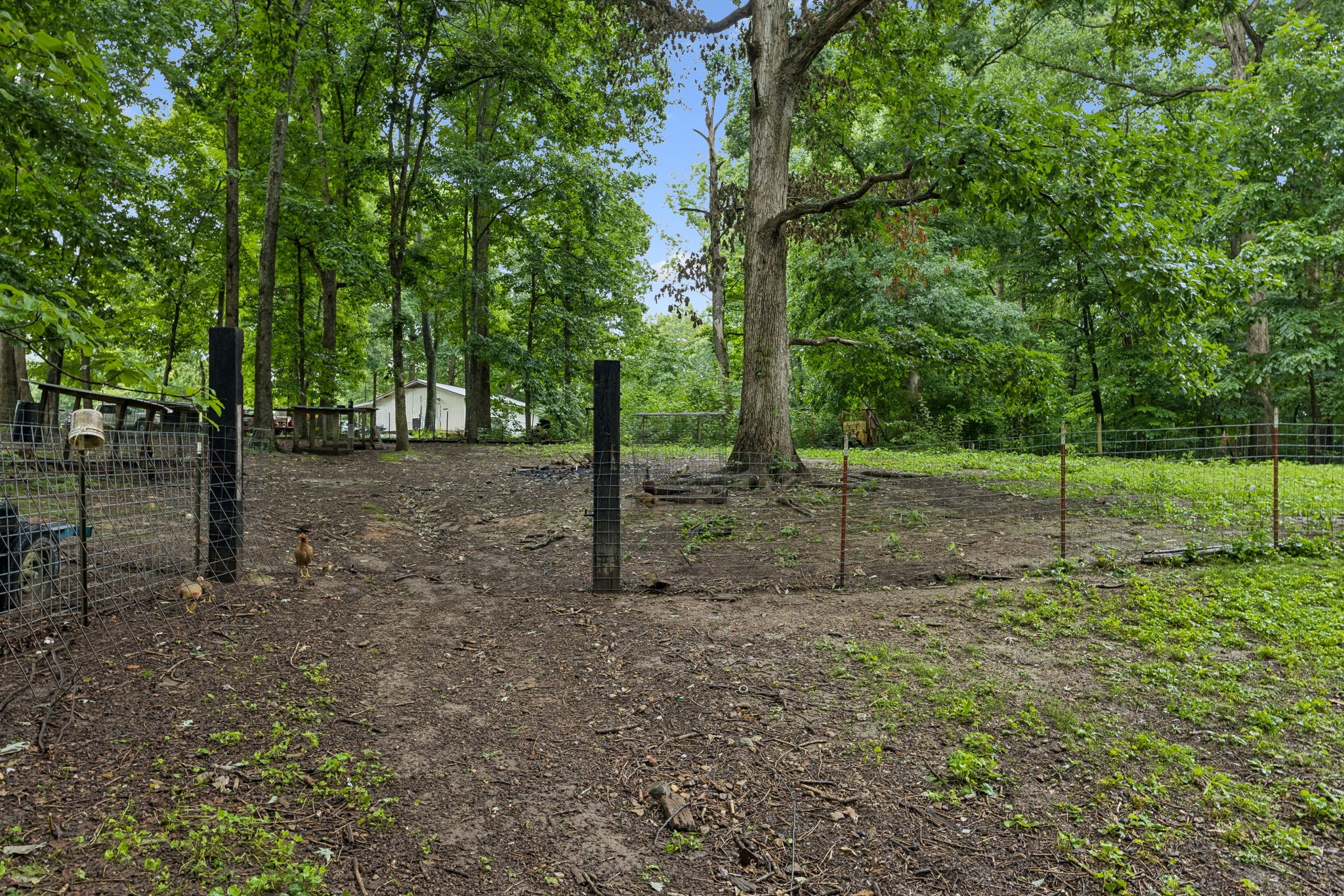 5849 Bending Chestnut Rd