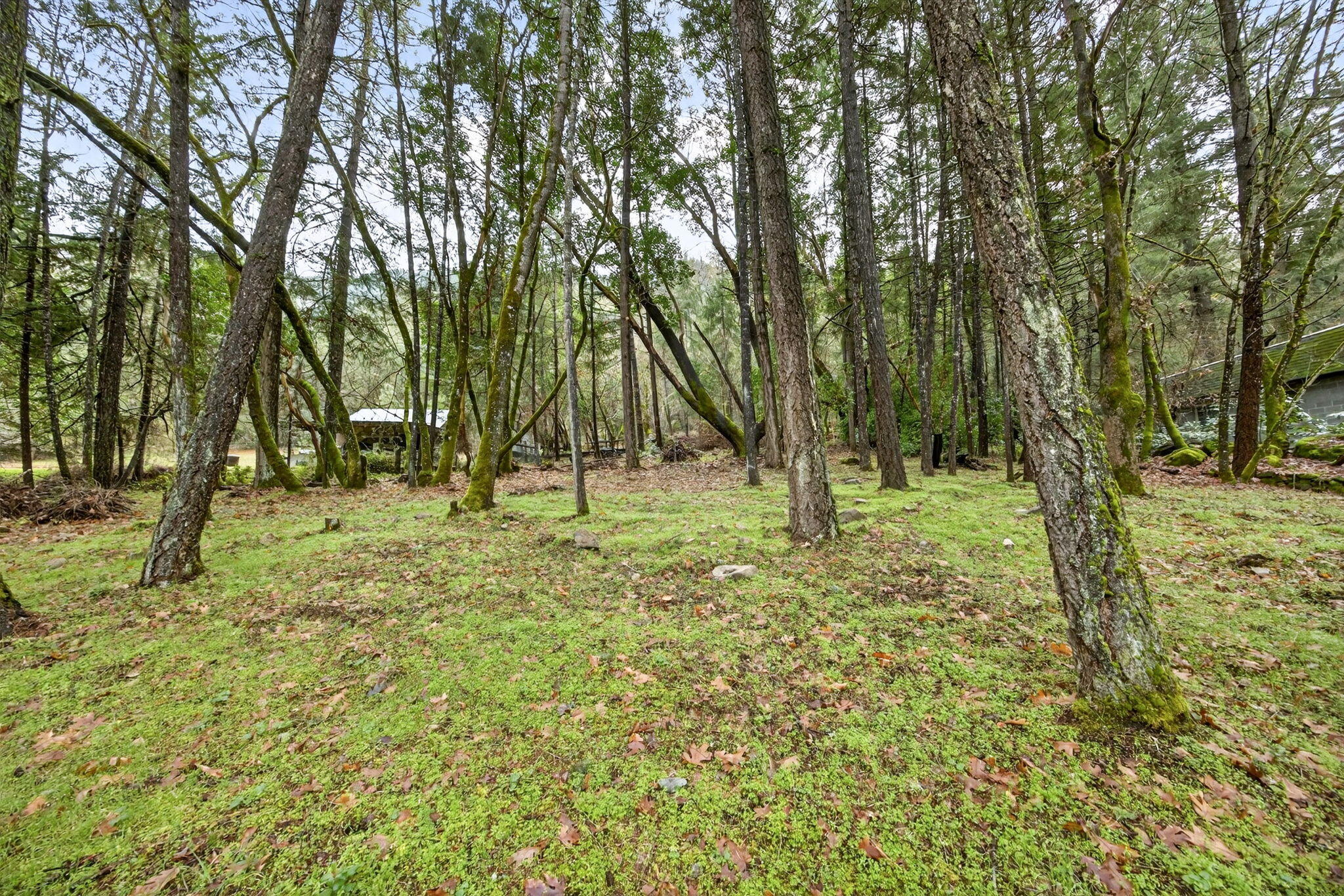 7743 Rogue River Highway