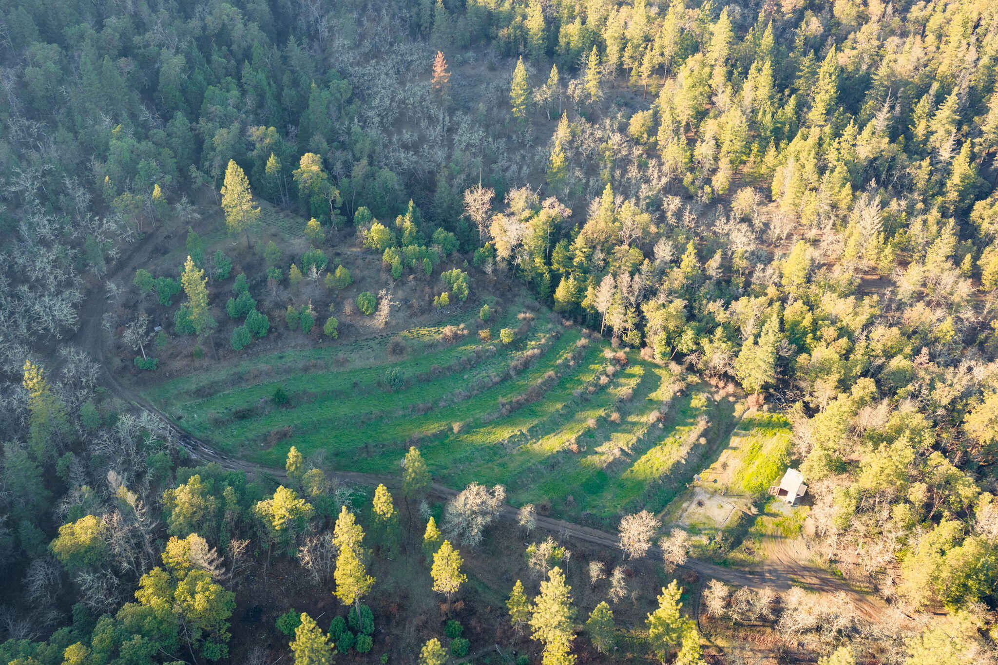 4098 Foots Creek R Fork Road