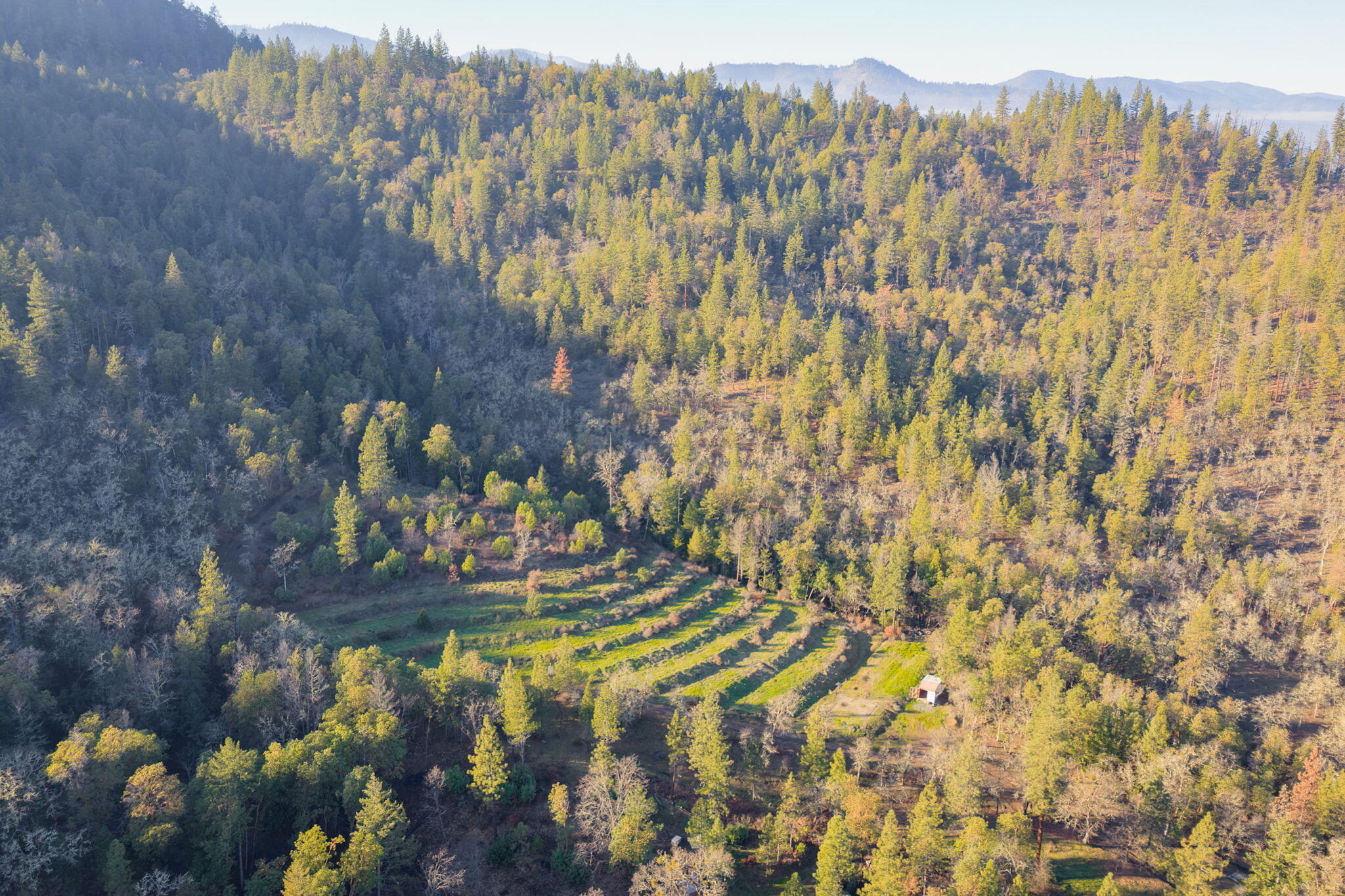 4098 Foots Creek R Fork Road