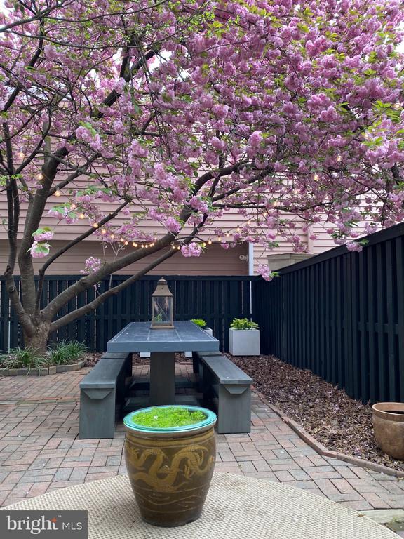 1320 PRINCESS STREET