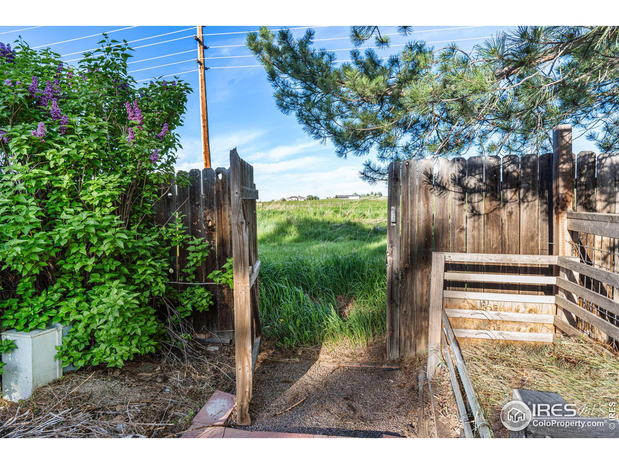 7484 Mount Sherman Rd