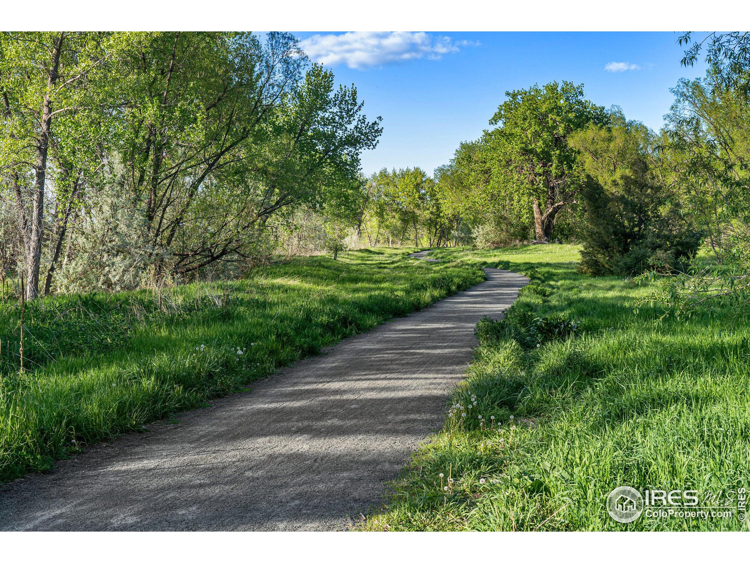 7484 Mount Sherman Rd