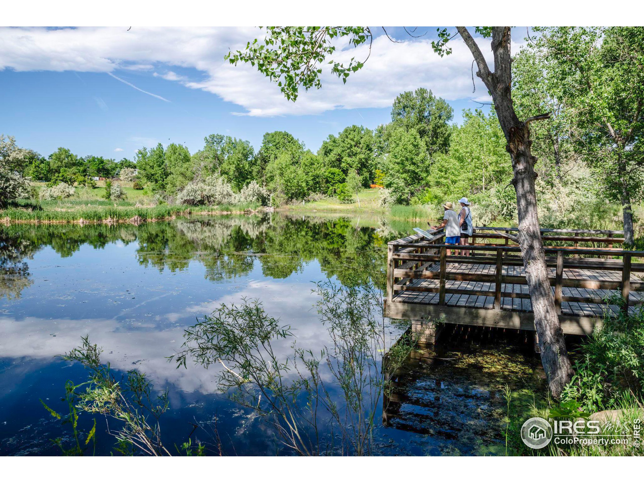 1608 Cottonwood Dr 25