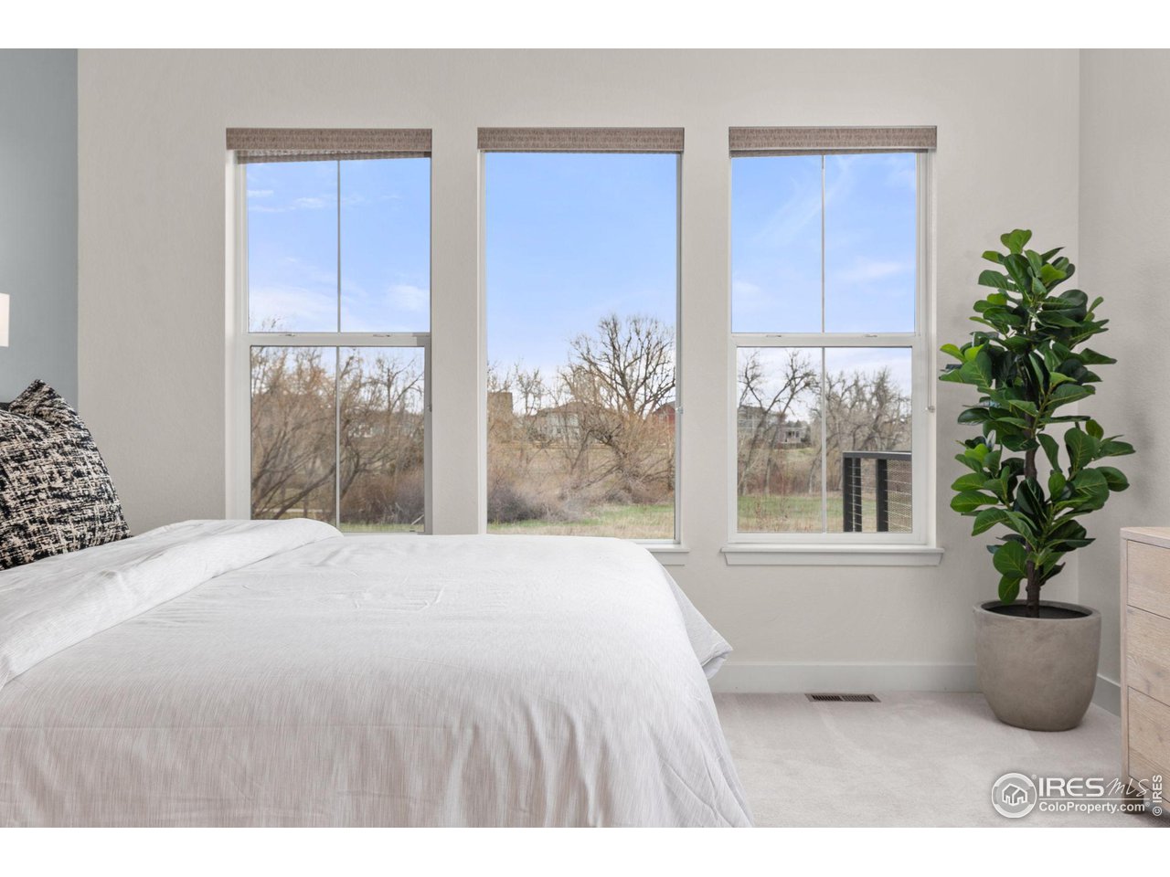 709 Stage Station Way