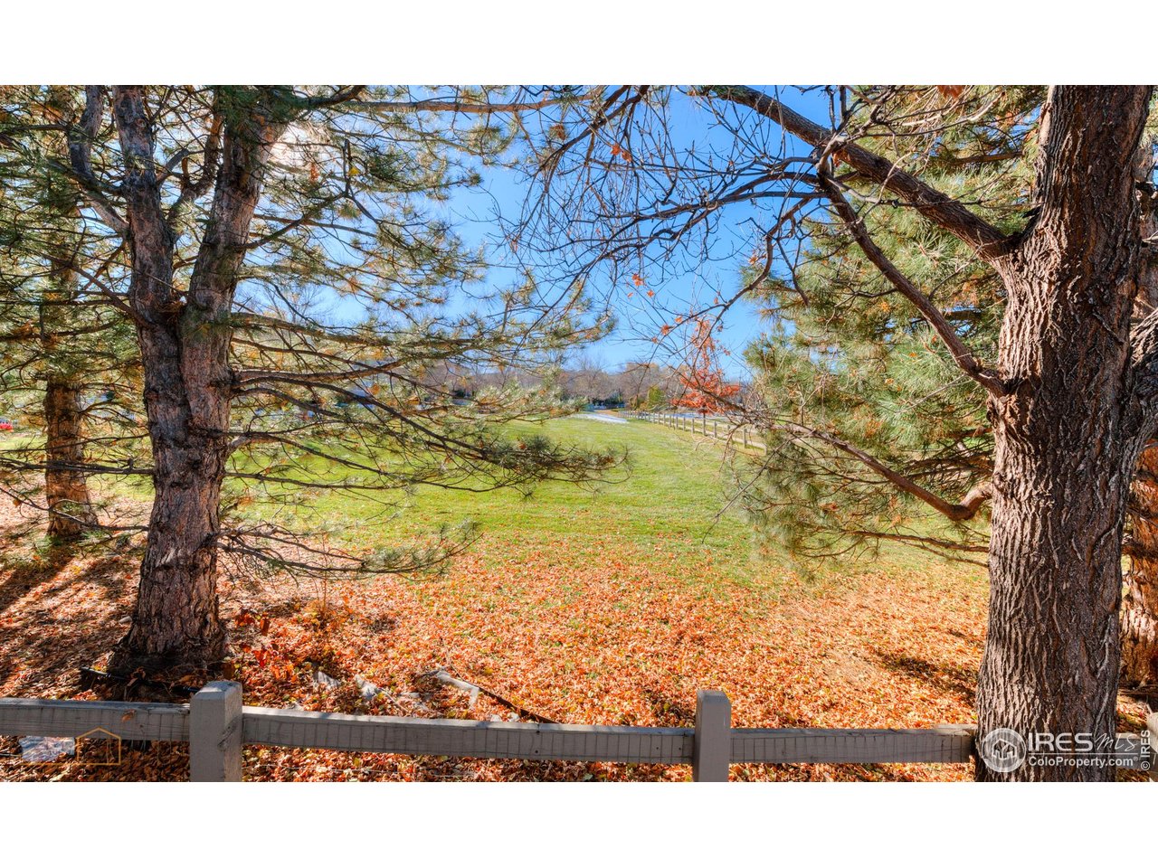 2765 Meadow Mountain Trl