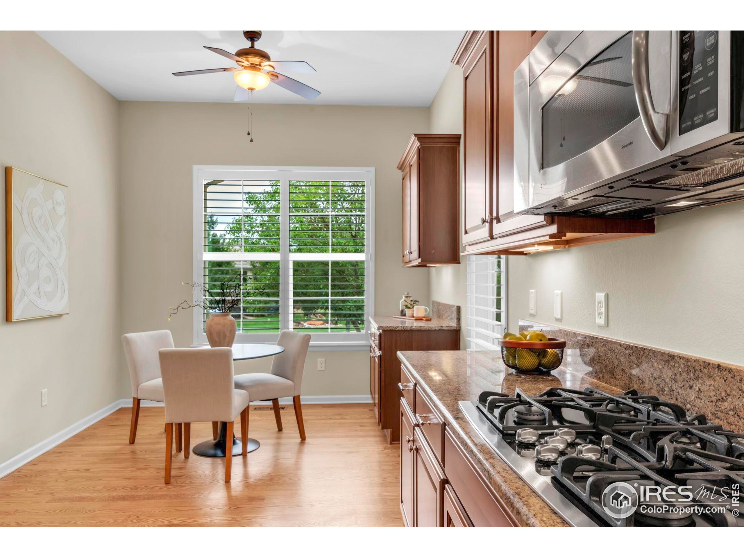 4518 Silver Mountain Loop