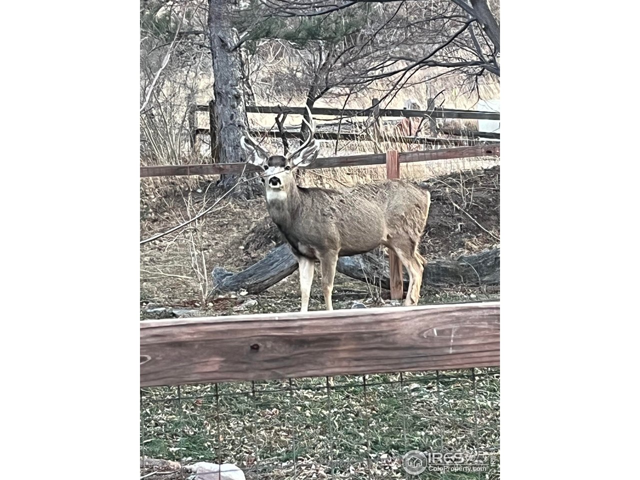 4223 Eldorado Springs Dr