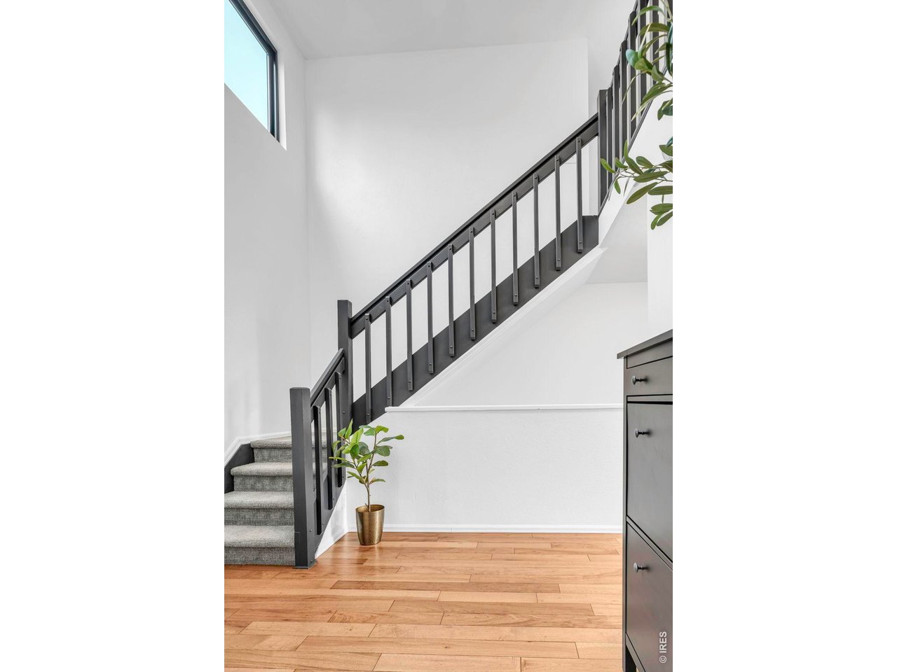480 Catalpa Ct