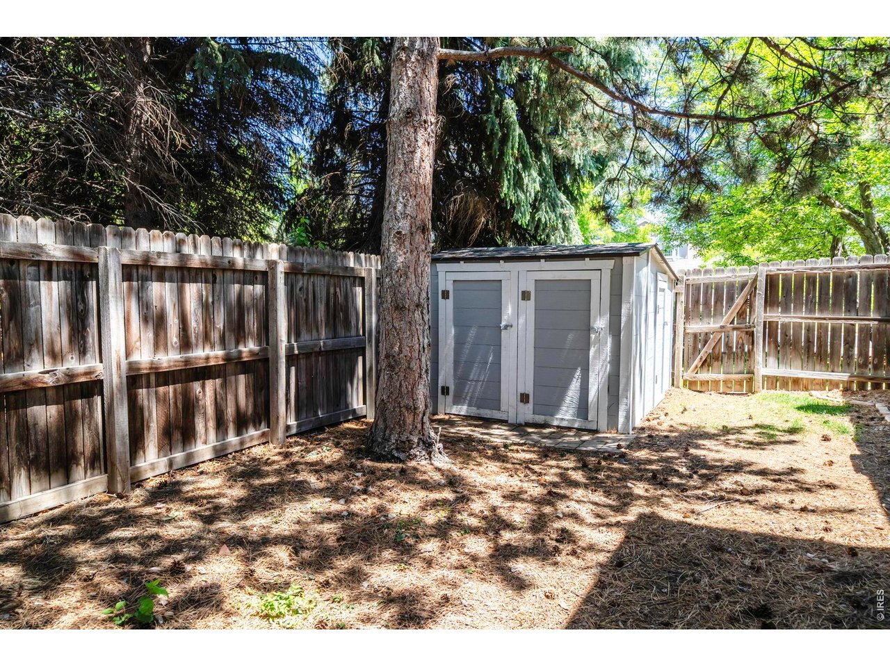 1517 Ridgeview Dr