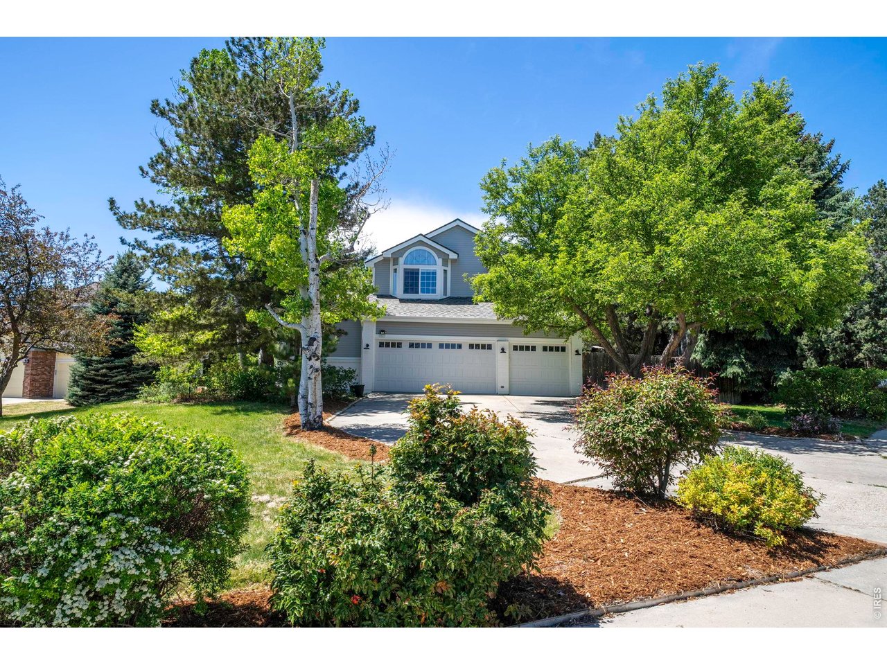 1517 Ridgeview Dr