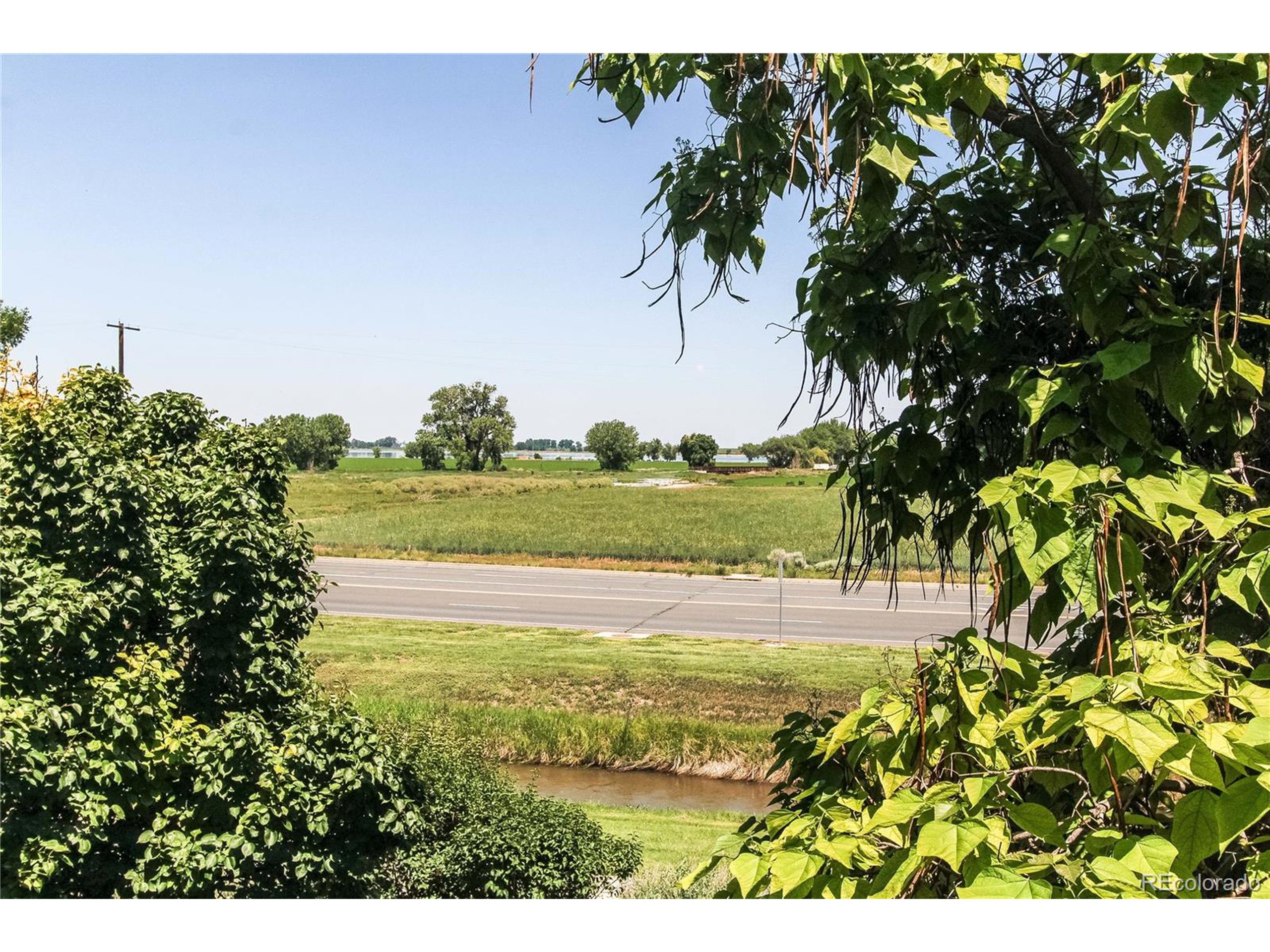 804 Summer Hawk Dr 3202