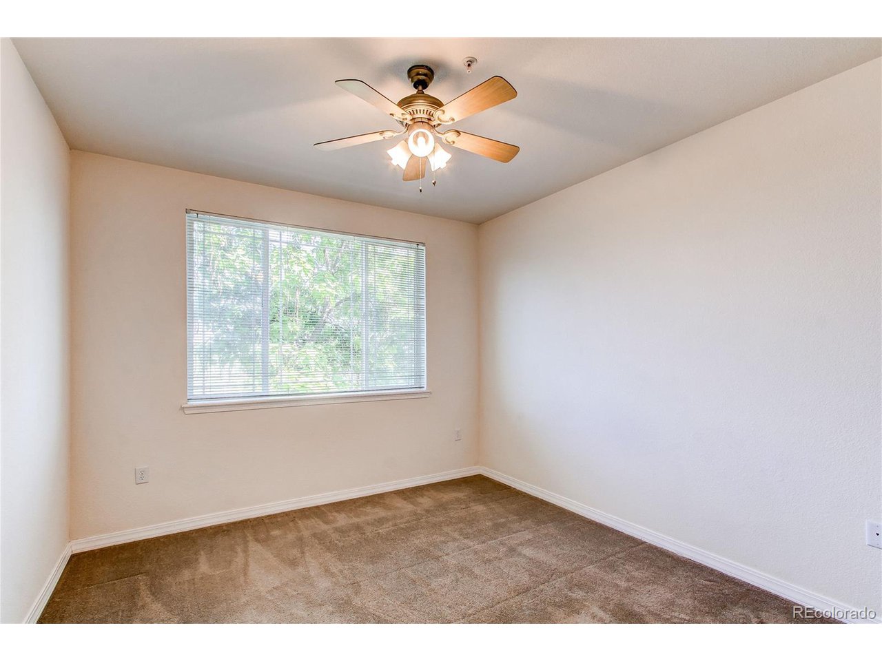 804 Summer Hawk Dr 3202