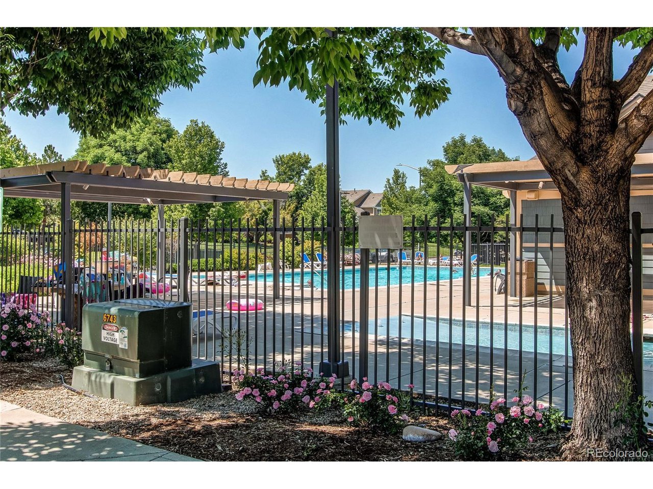 804 Summer Hawk Dr 3202