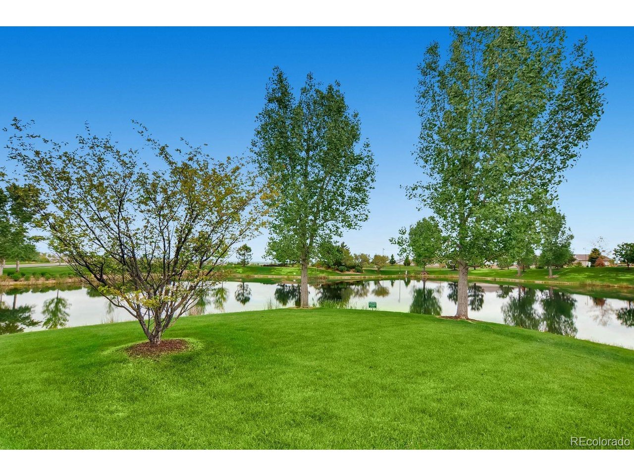 15638 Deer Mountain Cir