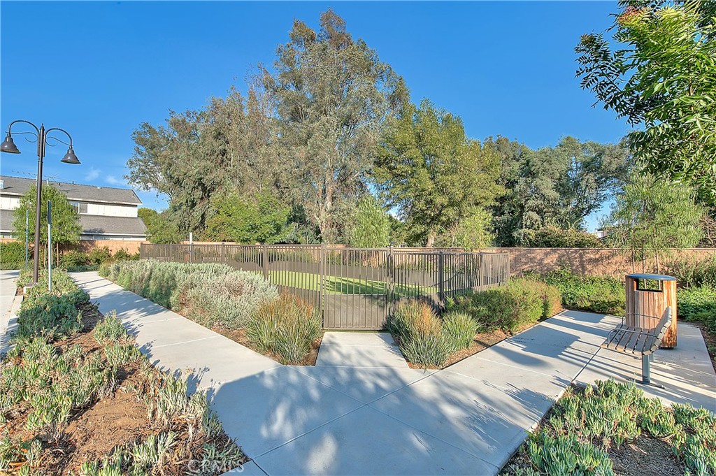 41985 Emelia Street 303